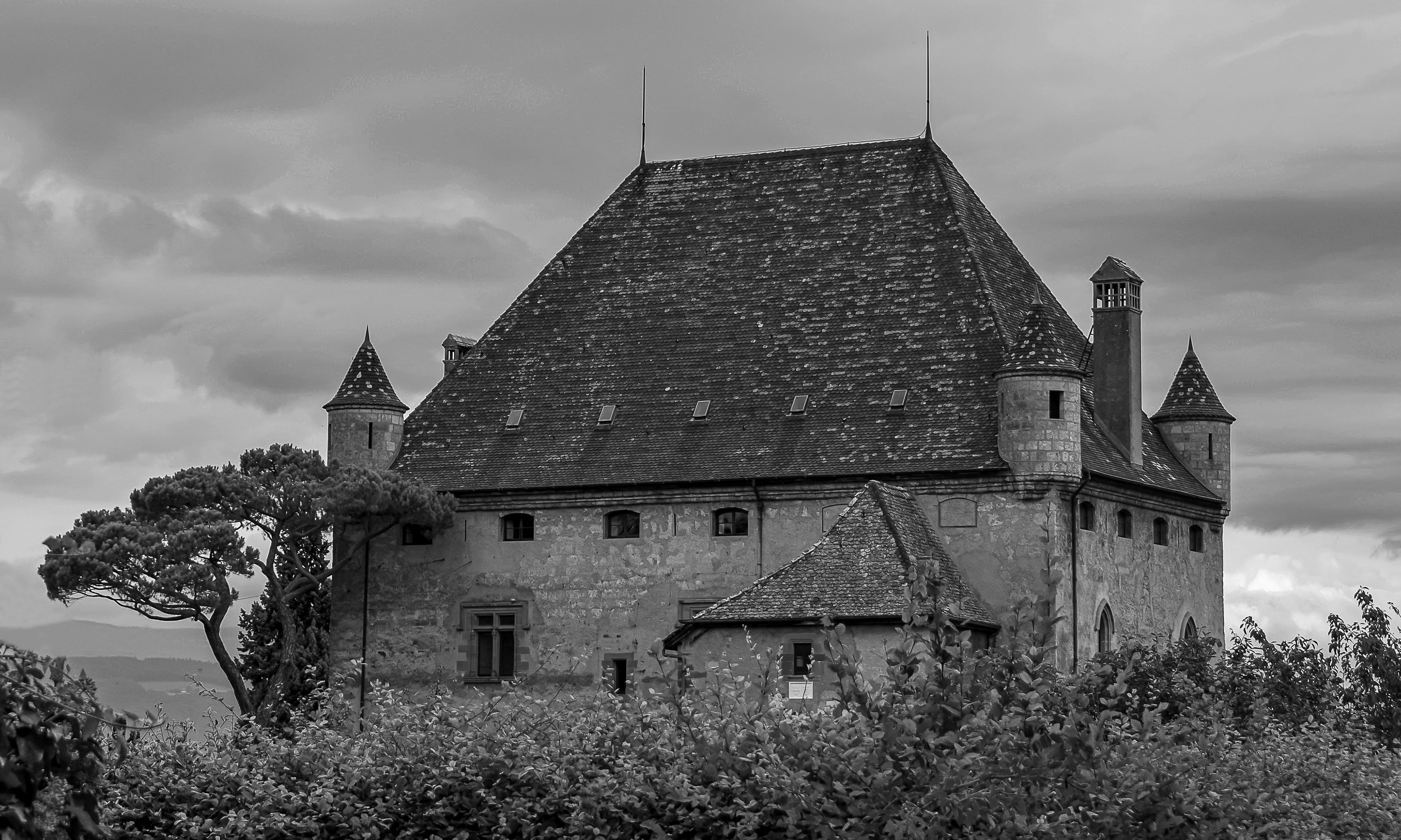 Château d'Yvoire Haute Savoie photo 53