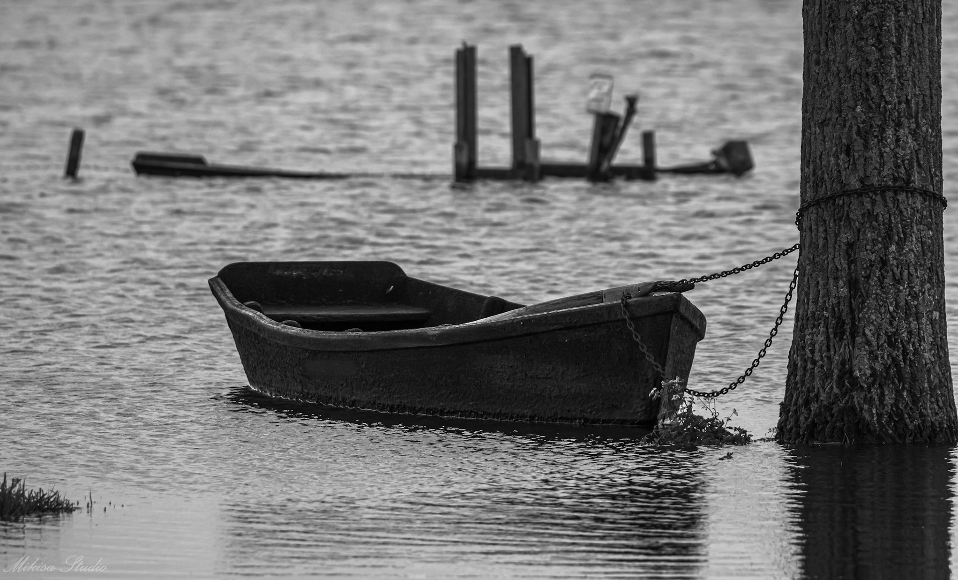 Petit port de pêche de Sainte Lumine, petite barque de pêcheur, Lac de Grand Lieu, photo 19