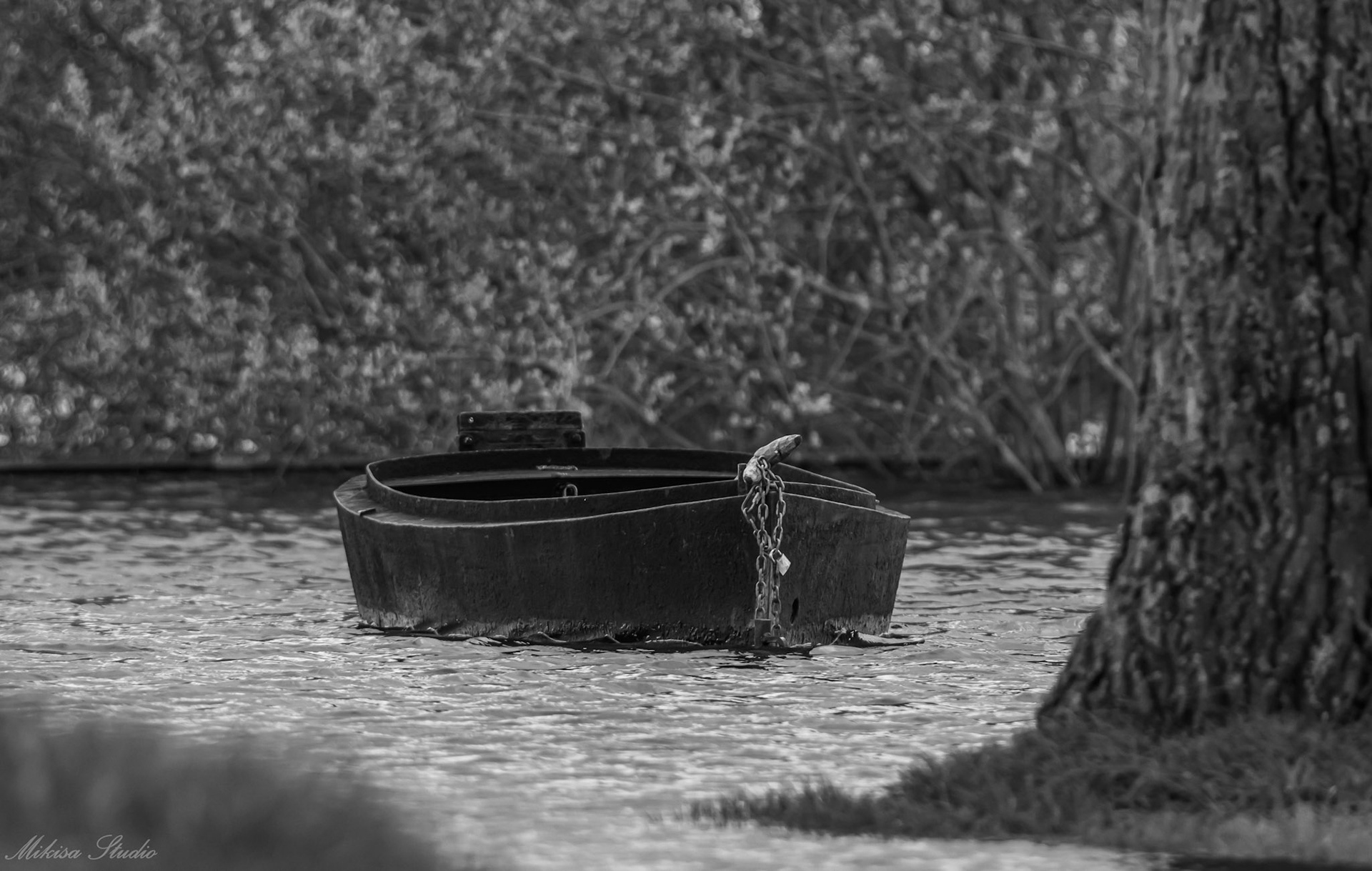 Petit port de pêche de Sainte Lumine, petite barque de pêcheur, Lac de Grand Lieu, photo 18