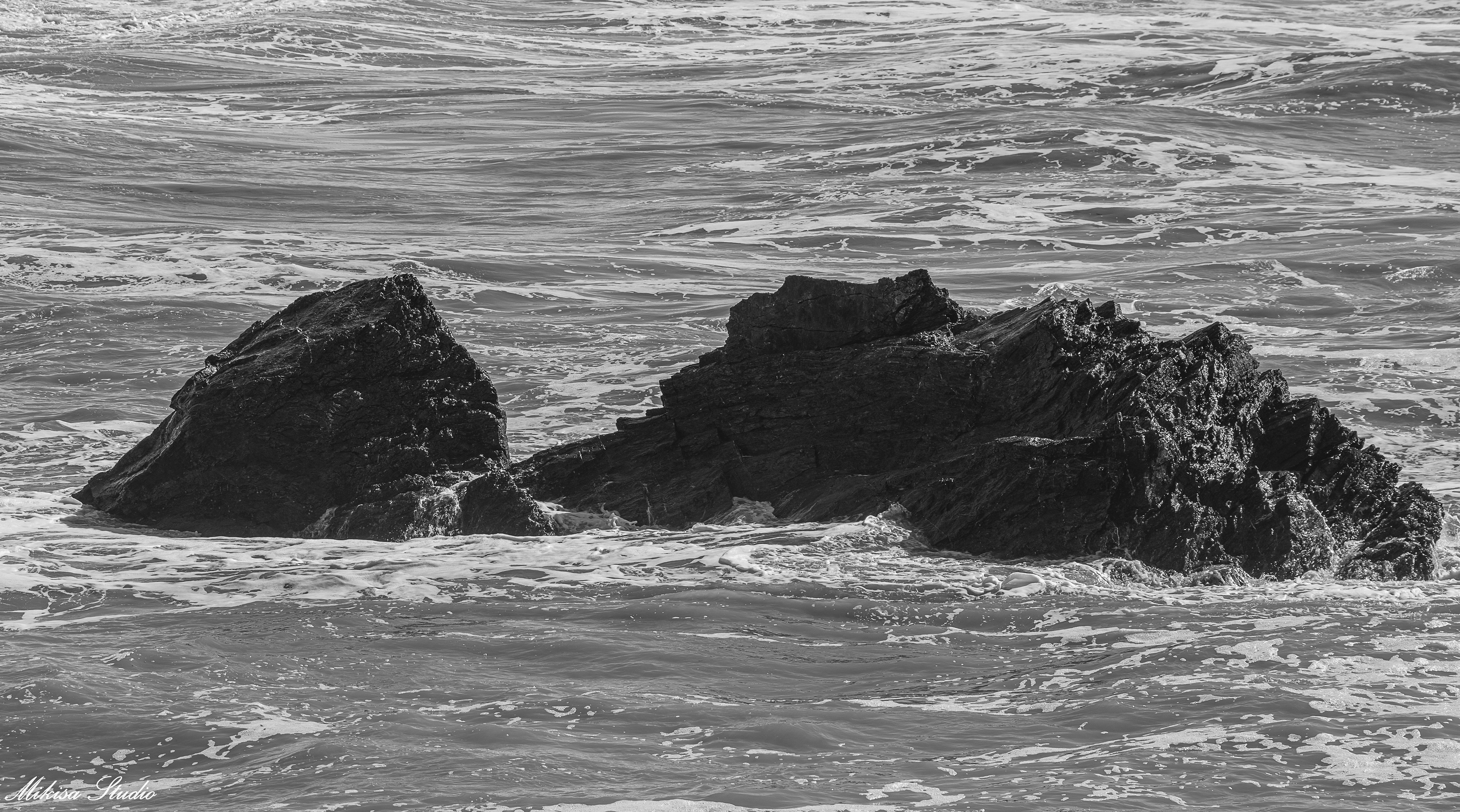Un récif en forme de petit dinosaure à la crique de la Corque à Brétignolles Sur Mer, photo noir et blanc 82