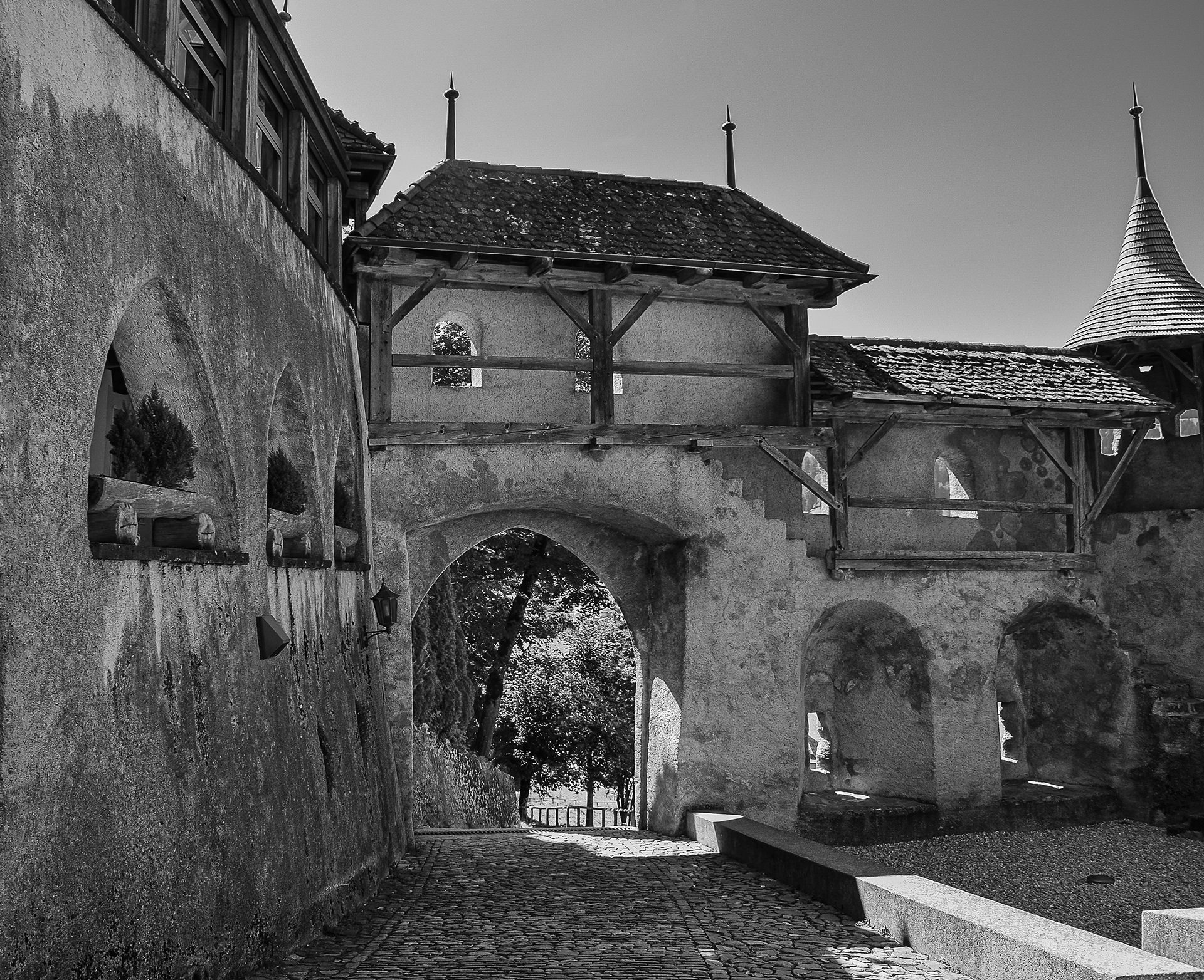 Château de Gruyères en Suisse photo 28
