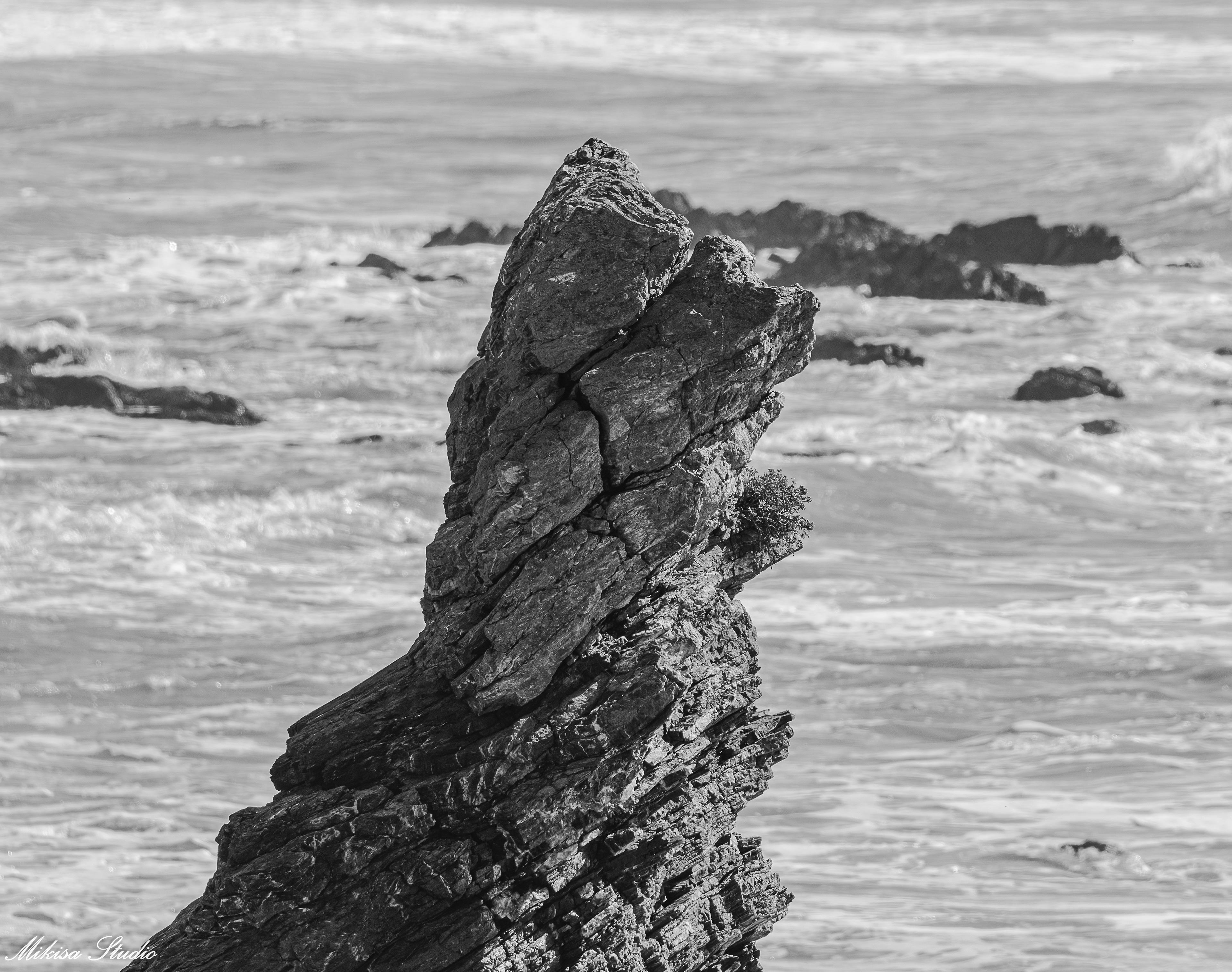 Haut du Rocher Sainte Véronique, monolithe naturel,sur la crique de la Corque à Brétignolles Sur Mer, photo noir et blanc 80