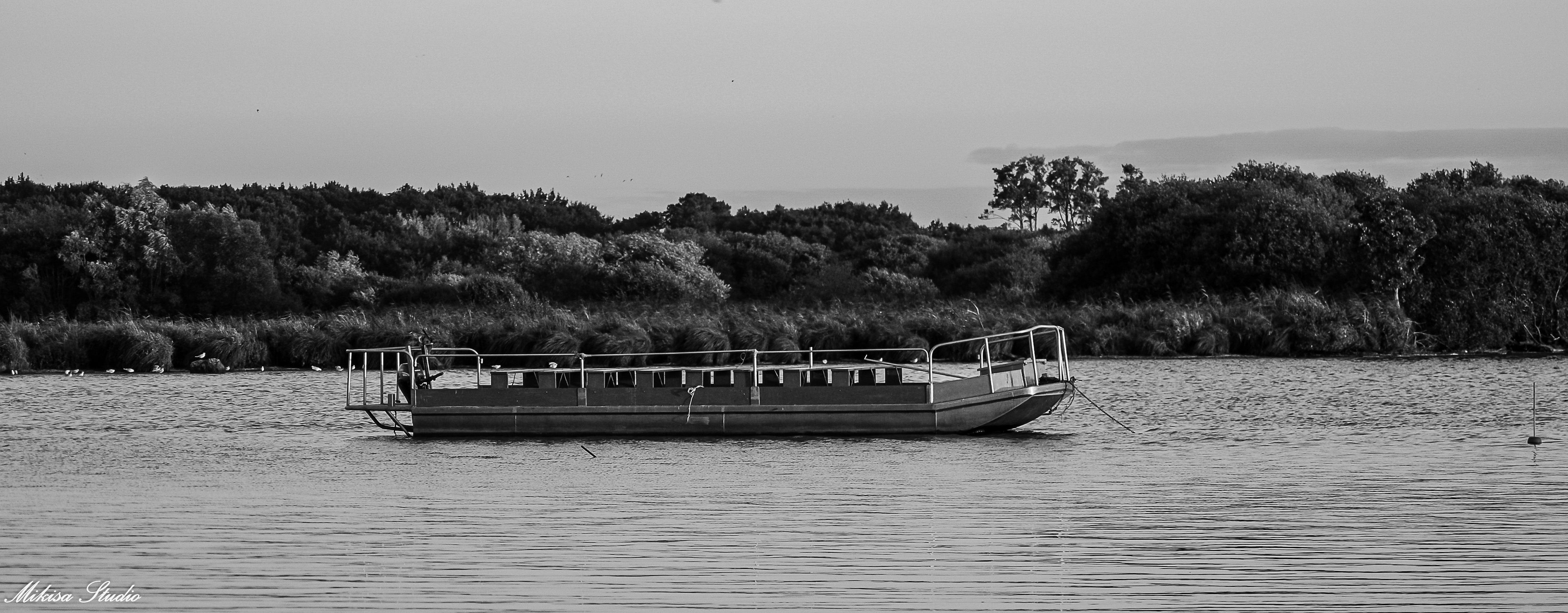 Barque pour la visite sur le Lac de Grand Lieu, port de Passay, Loire-Atlantique, photo noir et blanc 56