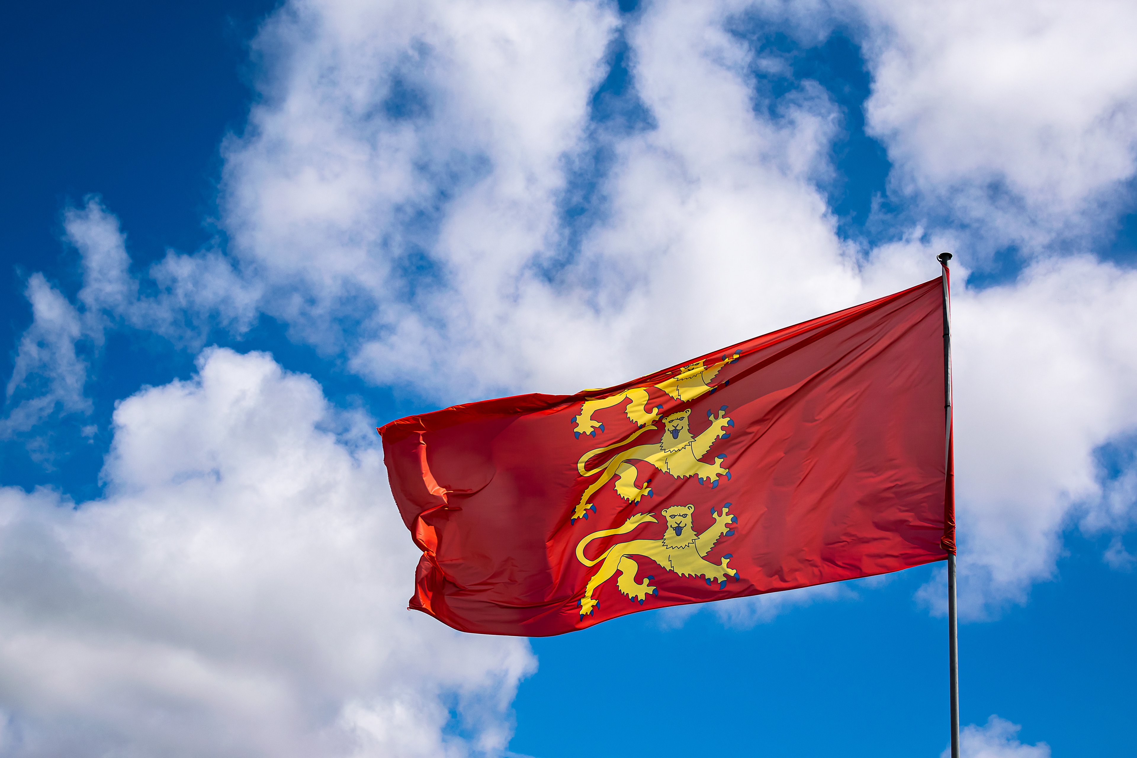 Drapeau de Richard Cœur de Lion flottant au vent au Château de Talmont, Vendée France, photo 98
