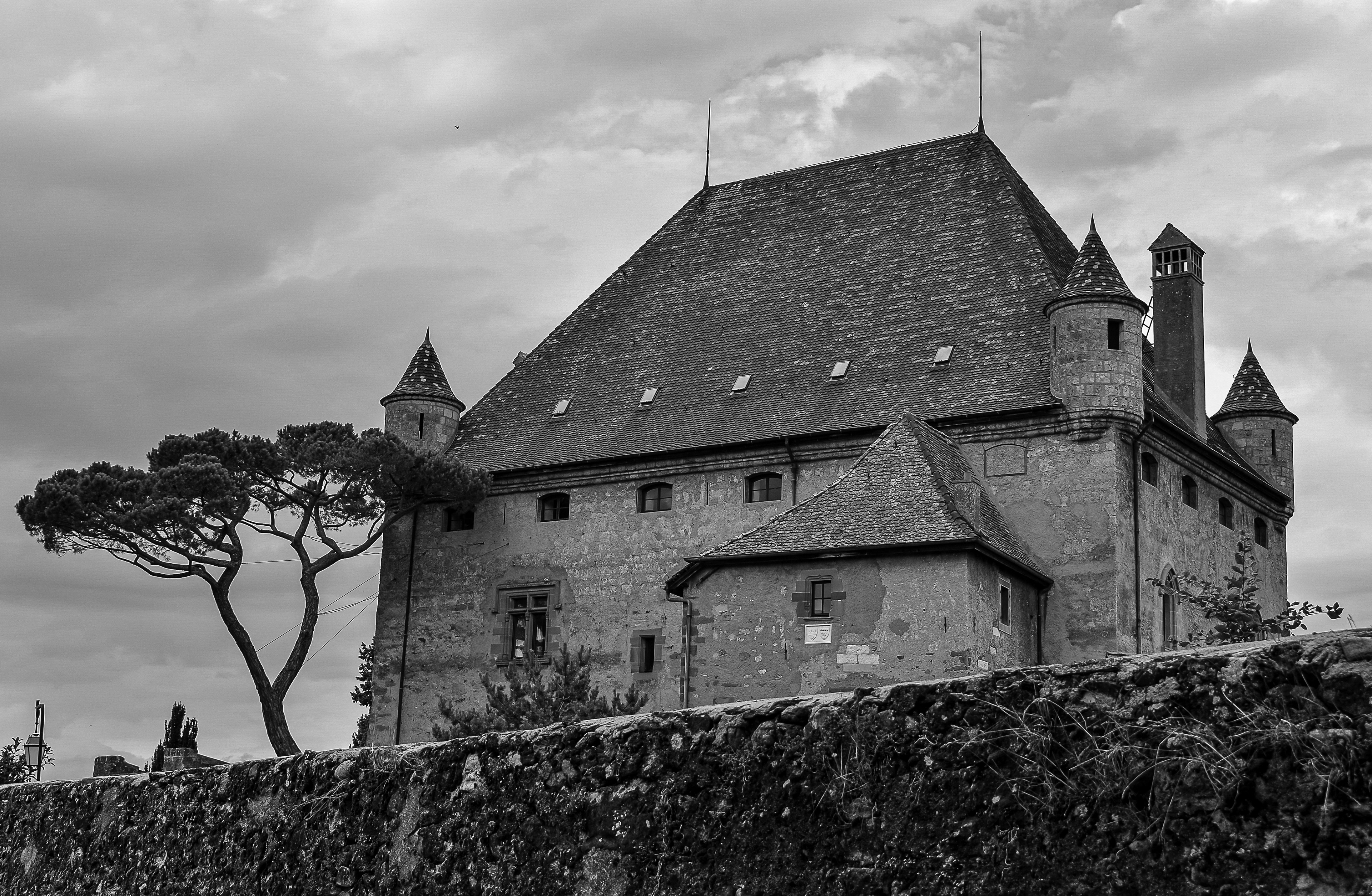 Château d'Yvoire Haute Savoie photo 50
