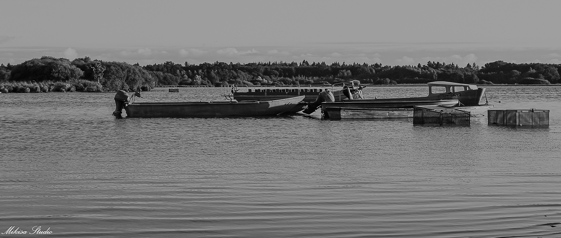 Barques de pêcheurs sur le Lac de Grand Lieu, port de Passay, Loire-Atlantique, photo noir et blanc 55