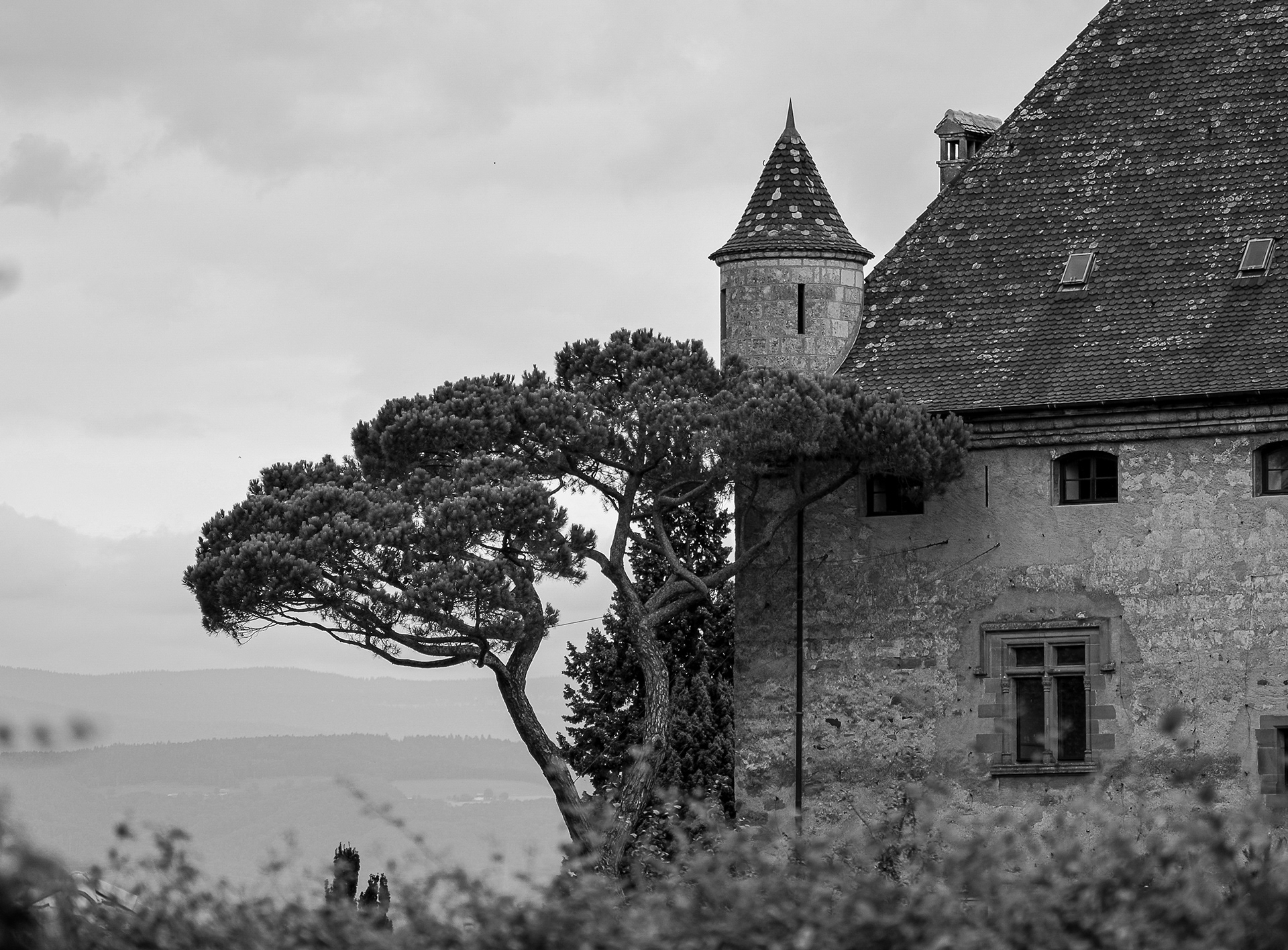 Château d'Yvoire Haute Savoie photo 51
