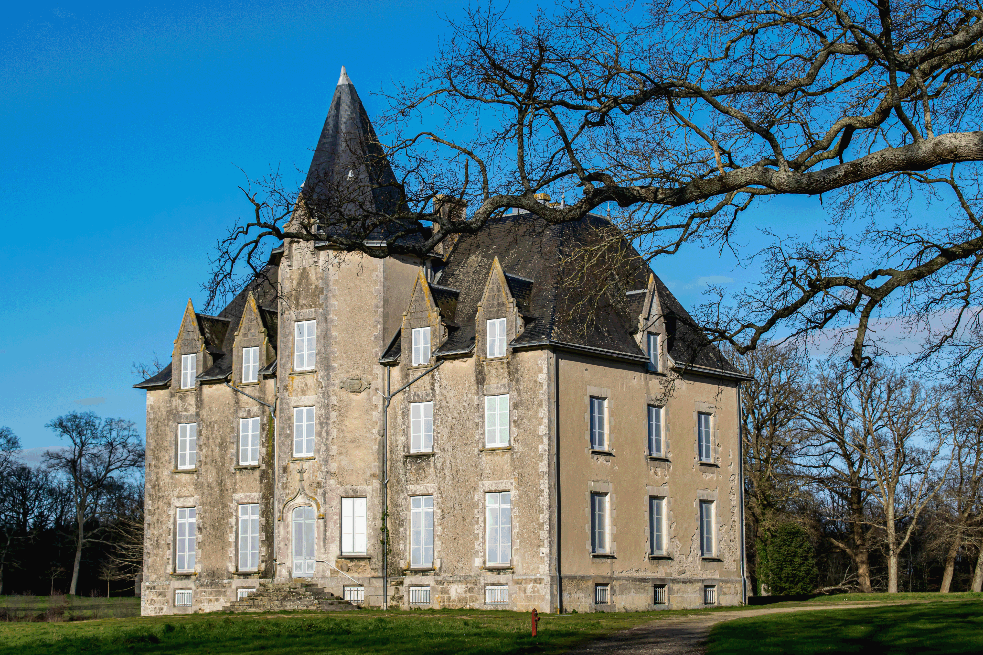 Château de Beaupuy, Mouilleron-le-Captif , Vendée photo 71