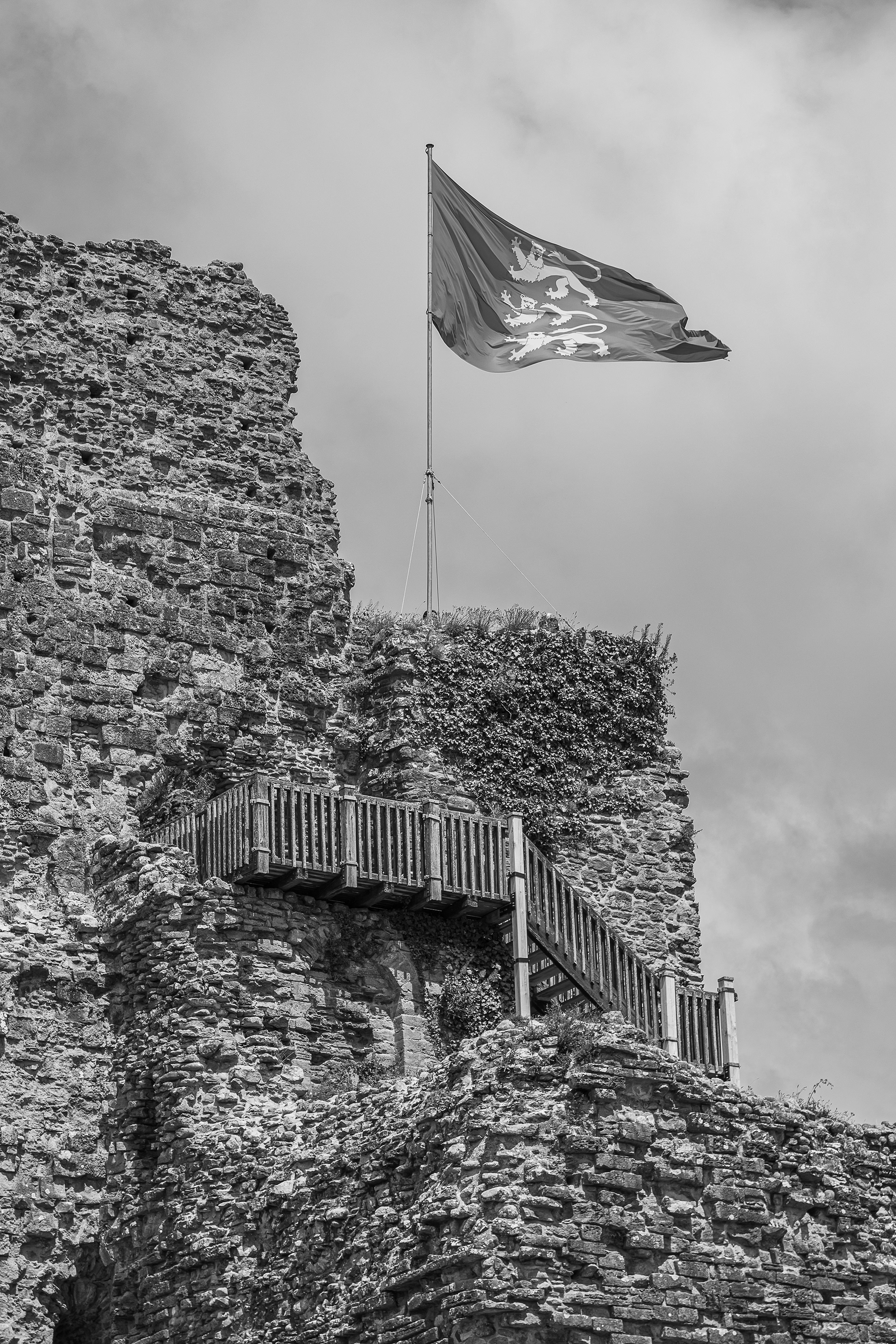 Drapeau de Richard Cœur de Lion au vent au Château de Talmont, Vendée France, photo 92
