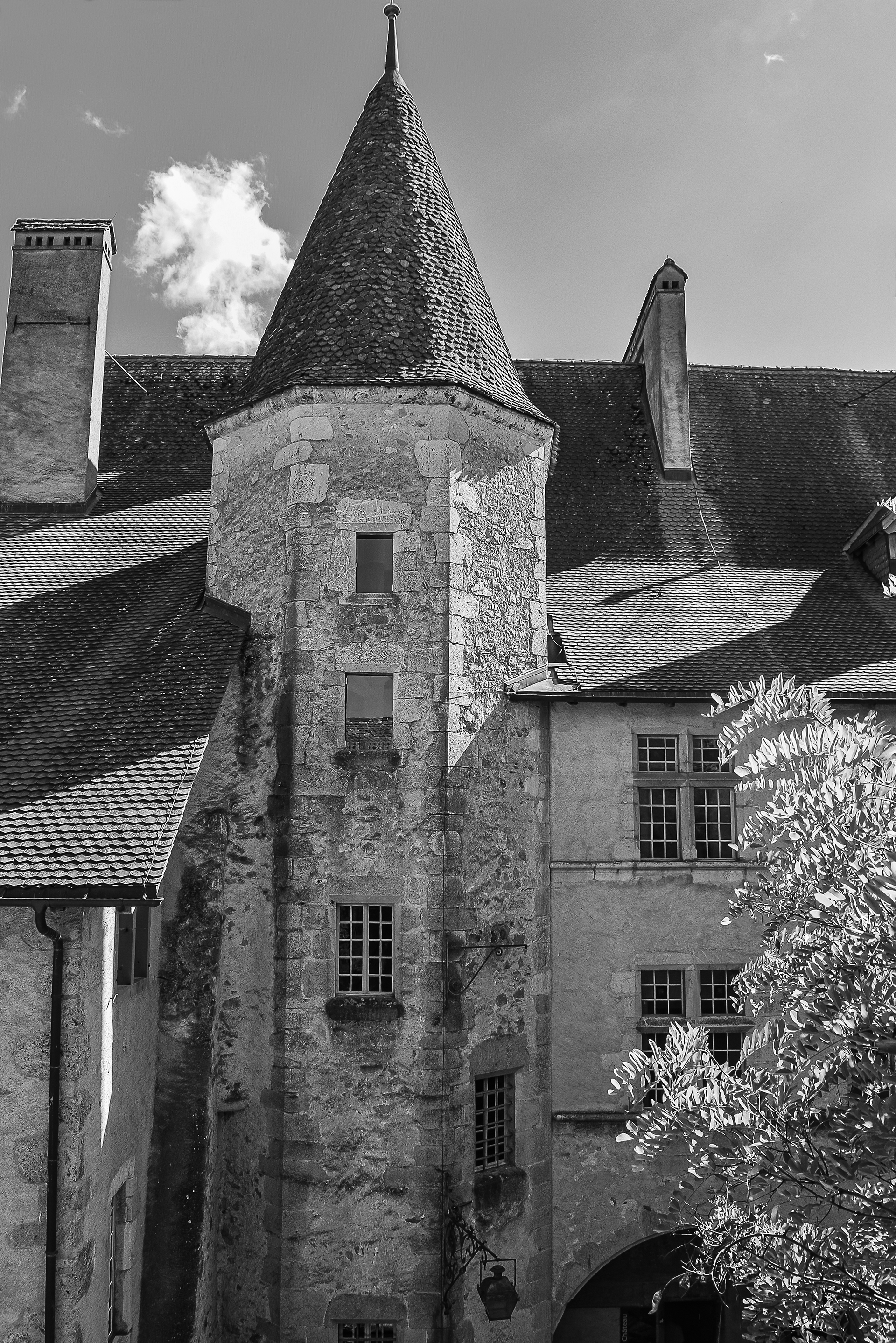 Château de Gruyères en Suisse photo 29