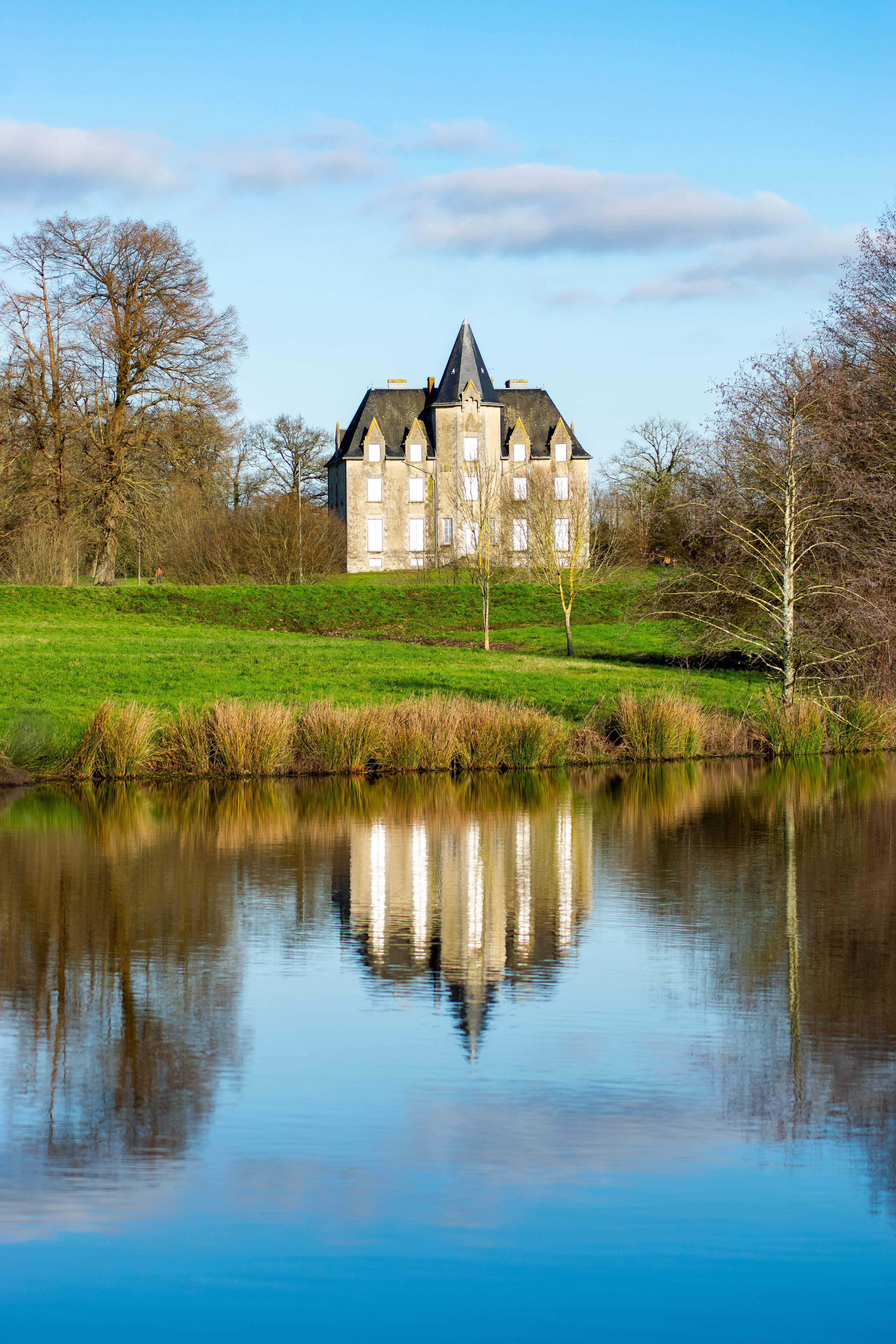 Château de beaupuy, Mouilleron-le-Captif , Vendée photo 68