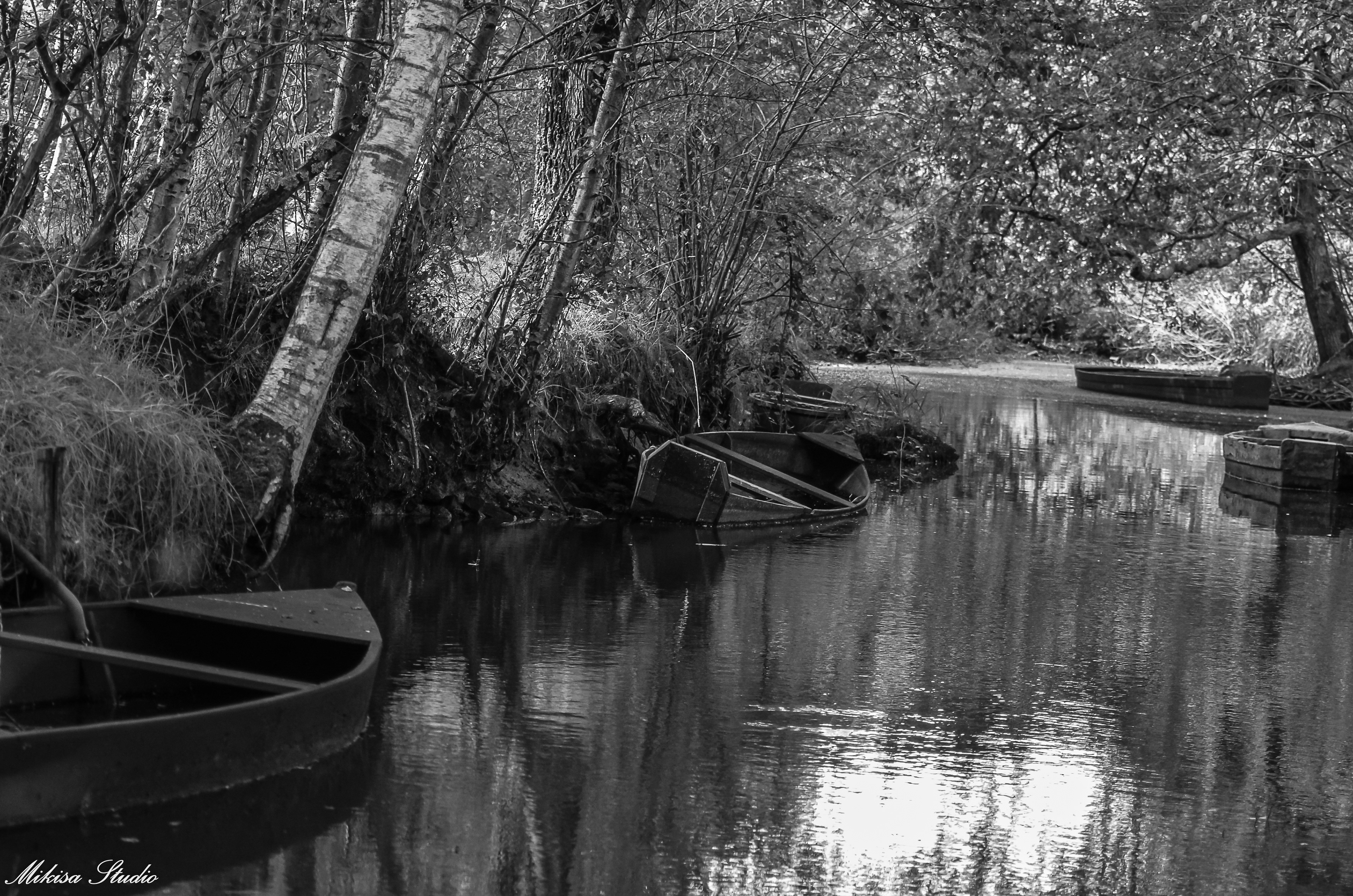 Barque de pêcheur dans les marais , Loire-Atlantique, photo noir et blanc 58