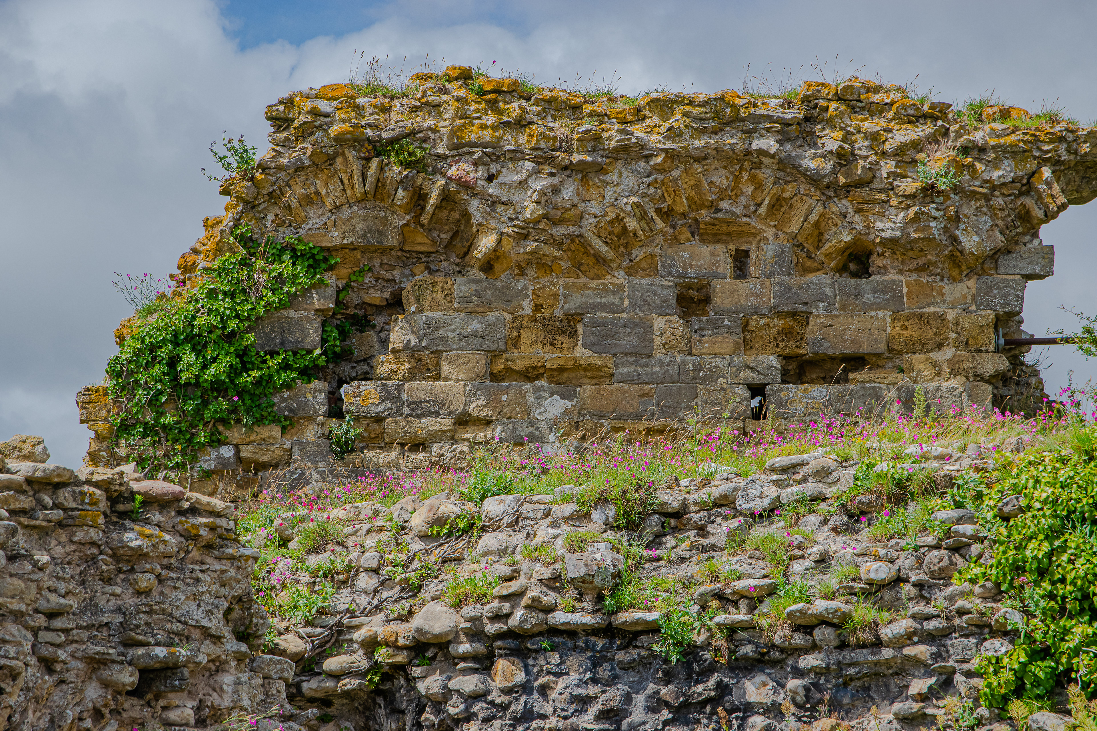 Vestiges de bâti au sommet du donjon du Château de Talmont, Vendée France, photo 104