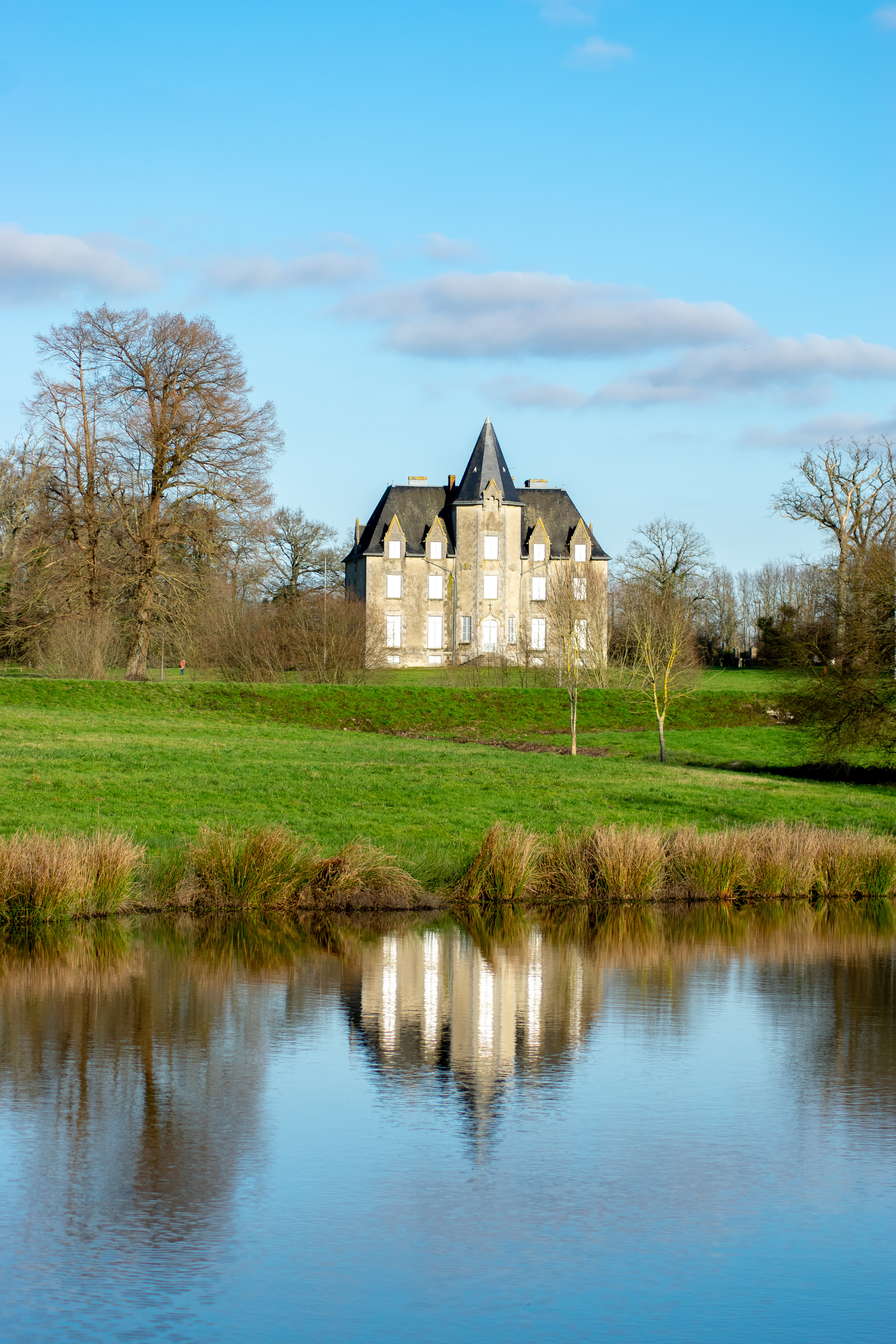 Château de Beaupuy, Mouilleron-le-Captif , Vendée photo 72