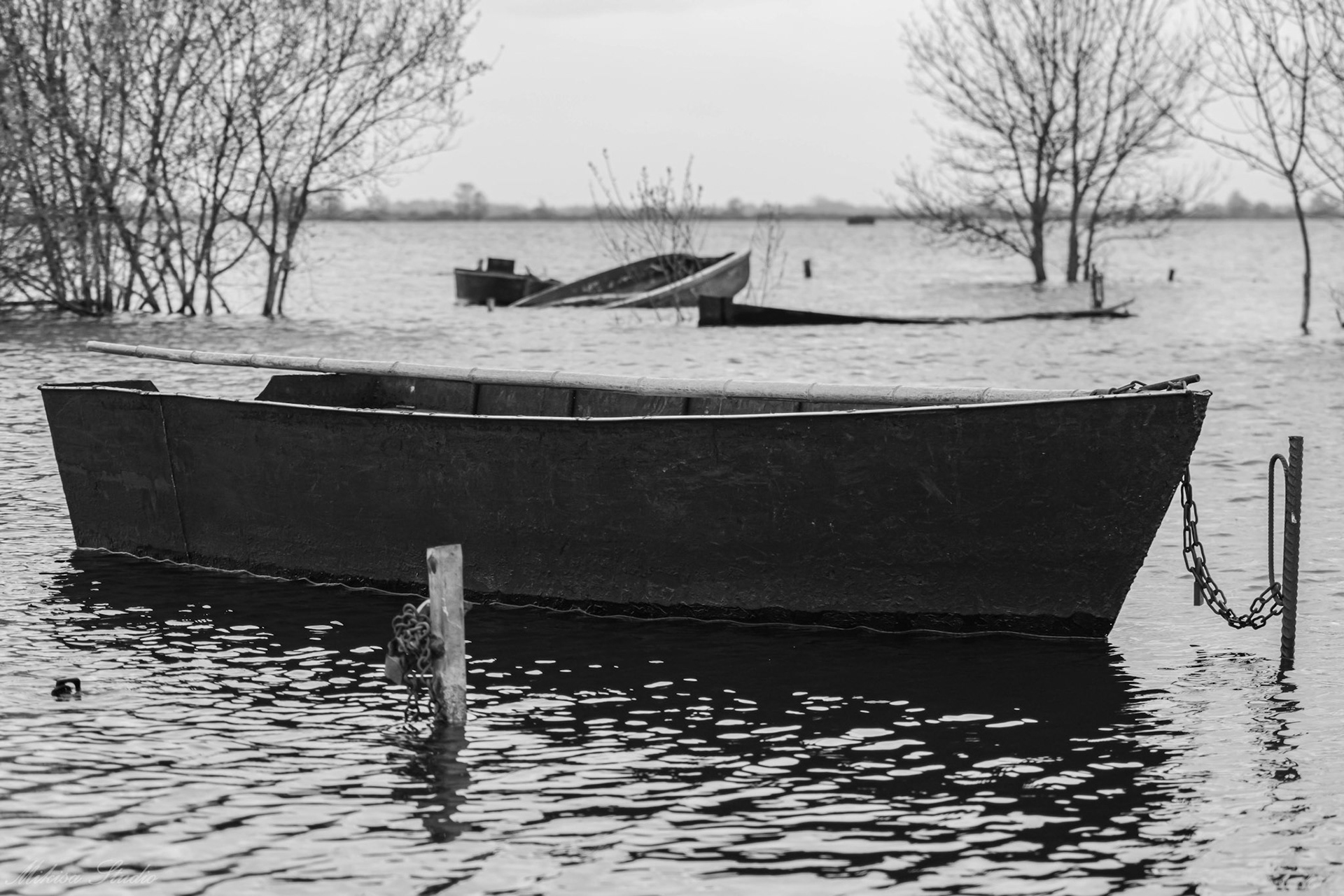 Petit port de pêche de Sainte Lumine en hiver, petites barques de pêcheur, Lac de Grand Lieu, photo 17