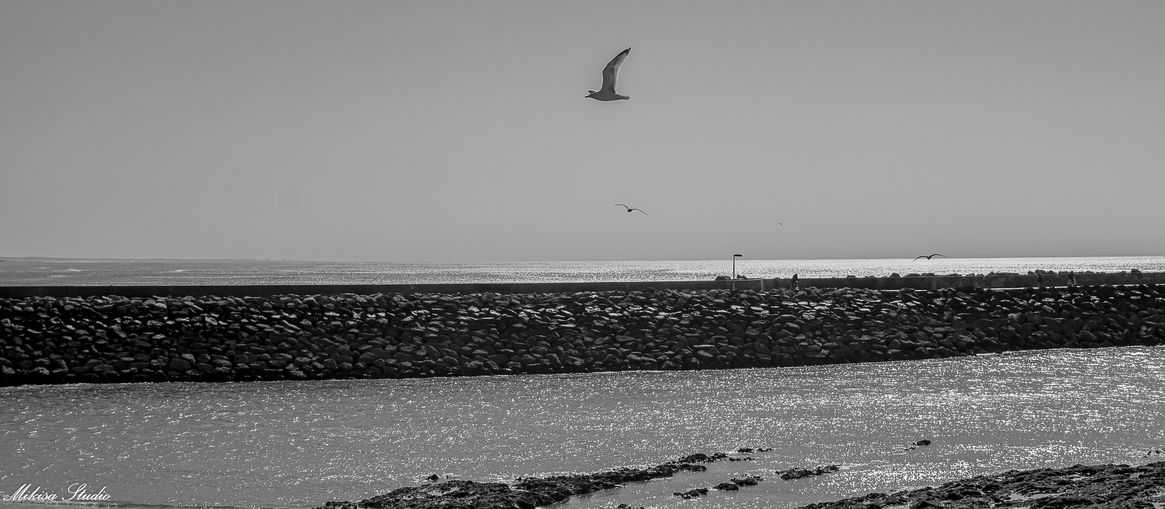 Photo noir et blanc de la digue du chenal d'entrée au port de Saint Gilles Croix de Vie, Vendée France, photo38