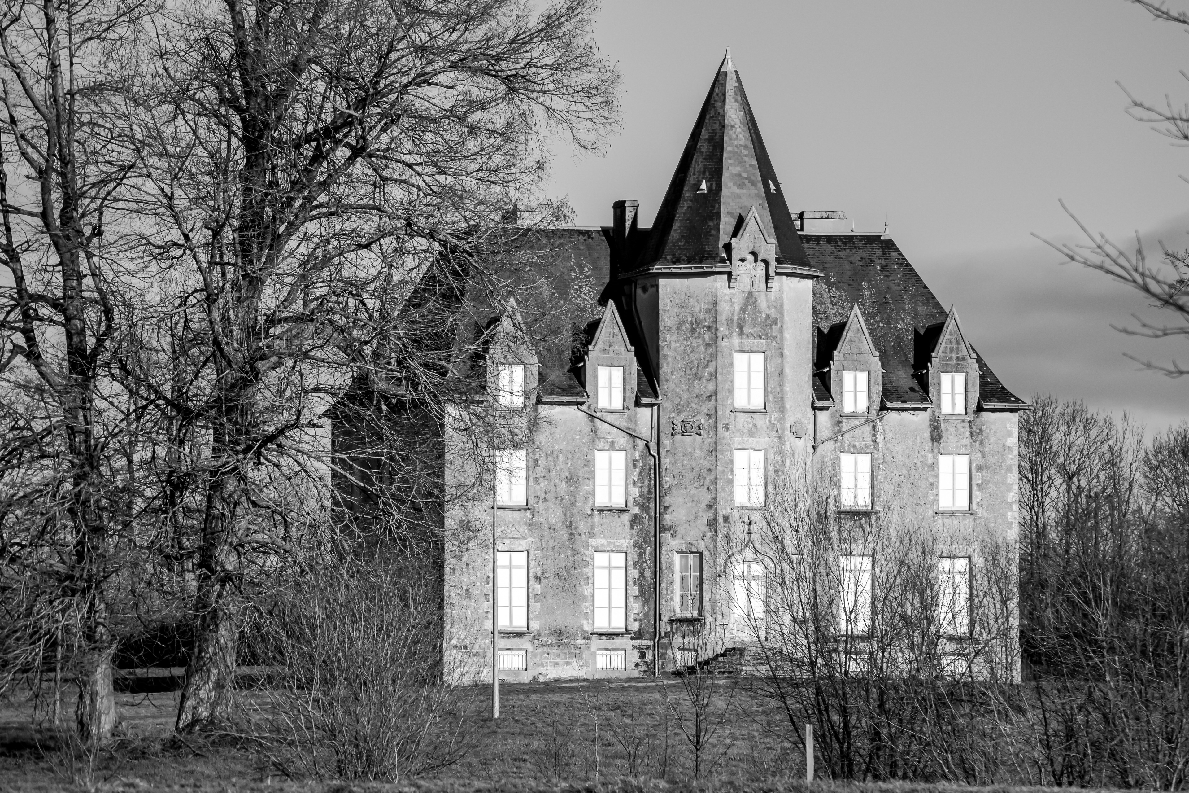 Château de beaupuy, Mouilleron-le-Captif , Vendée photo 65