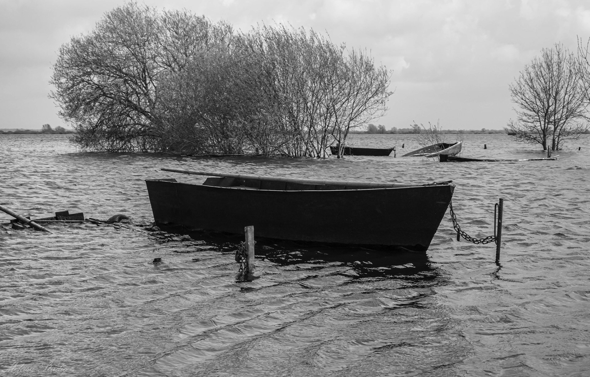 Petit port de pêche de Sainte Lumine en hiver, petites barques de pêcheur, Lac de Grand Lieu, photo 23