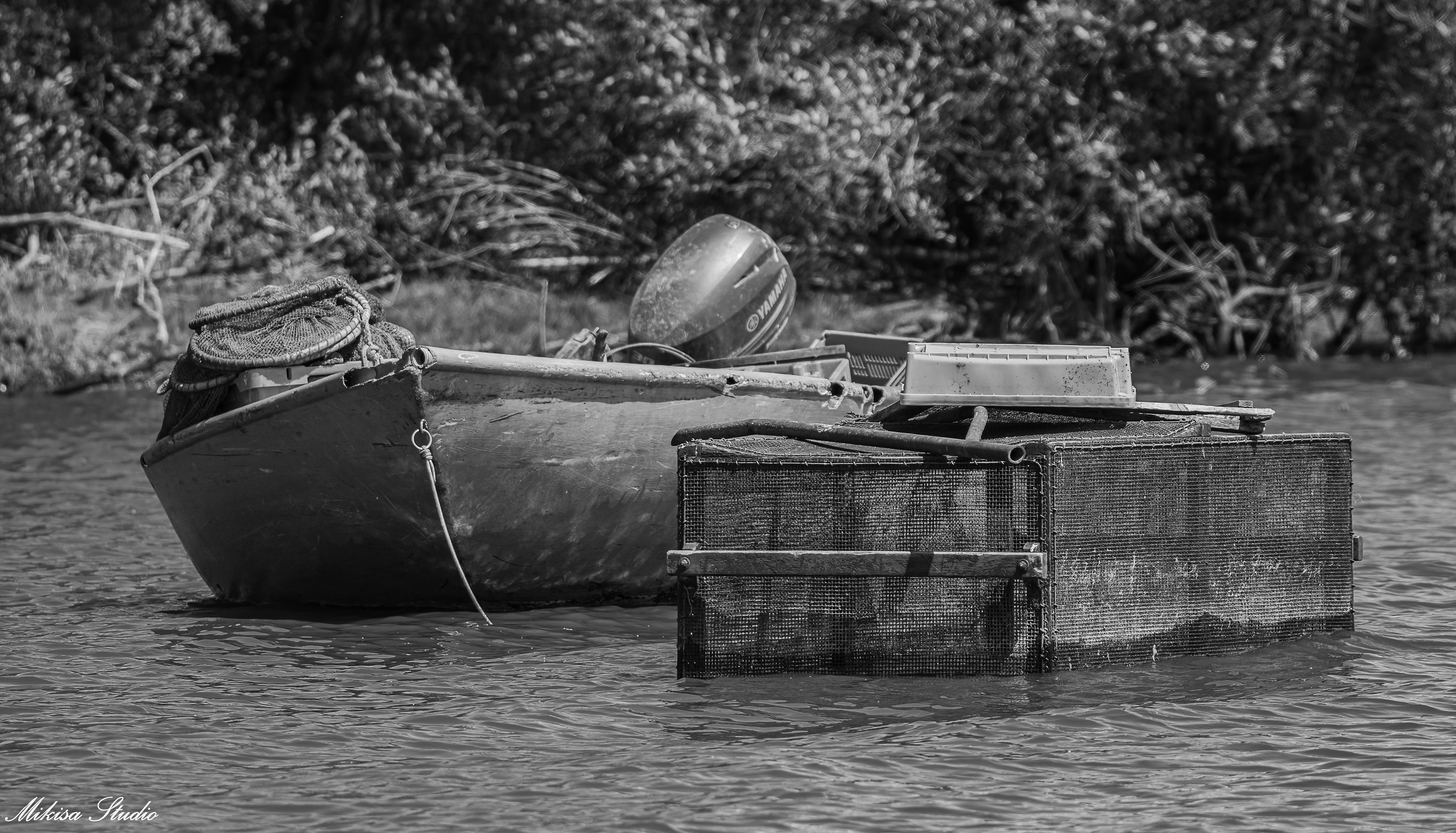 Barque de pêcheur sur le Lac de Grand Lieu, port de Passay, Loire-Atlantique, photo noir et blanc 52