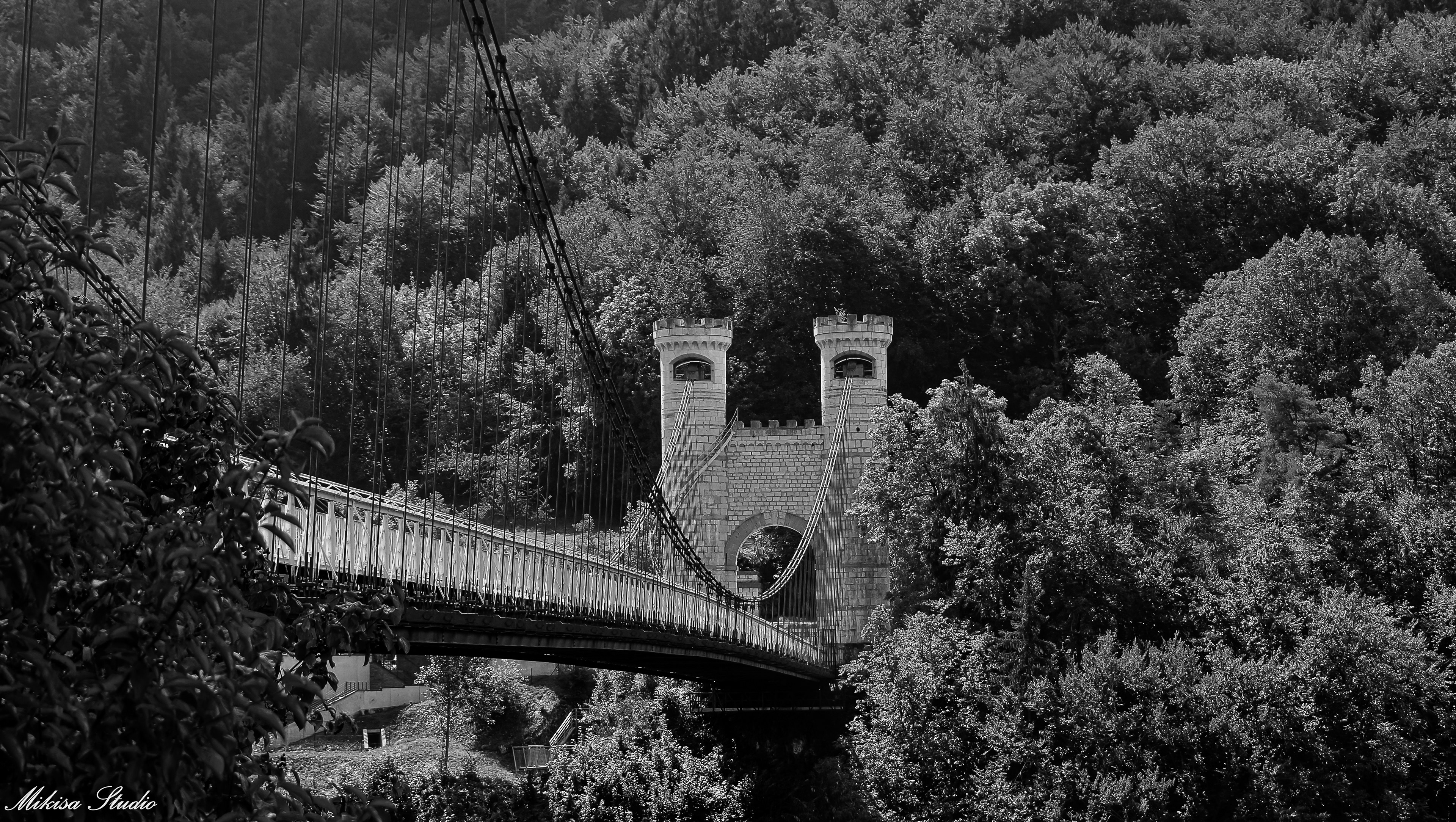 Pont Charles-Albert, couramment appelé pont de la Caille, sinauguré en 1839, Haute-Savoie en région Auvergne-Rhône-Alpe, photo noir et blanc 131