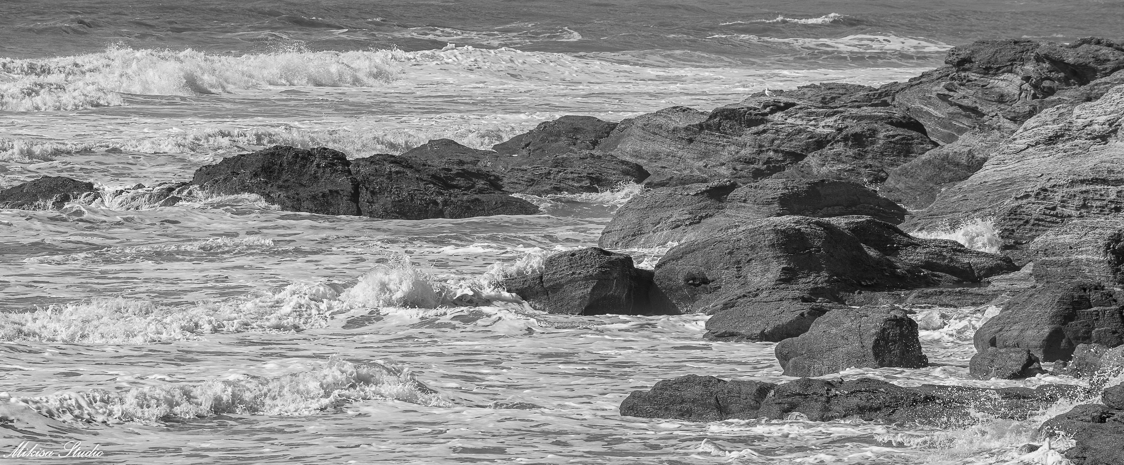 L'océan remonte, récifs de Brétignolles Sur Mer, photo noir et blanc 85
