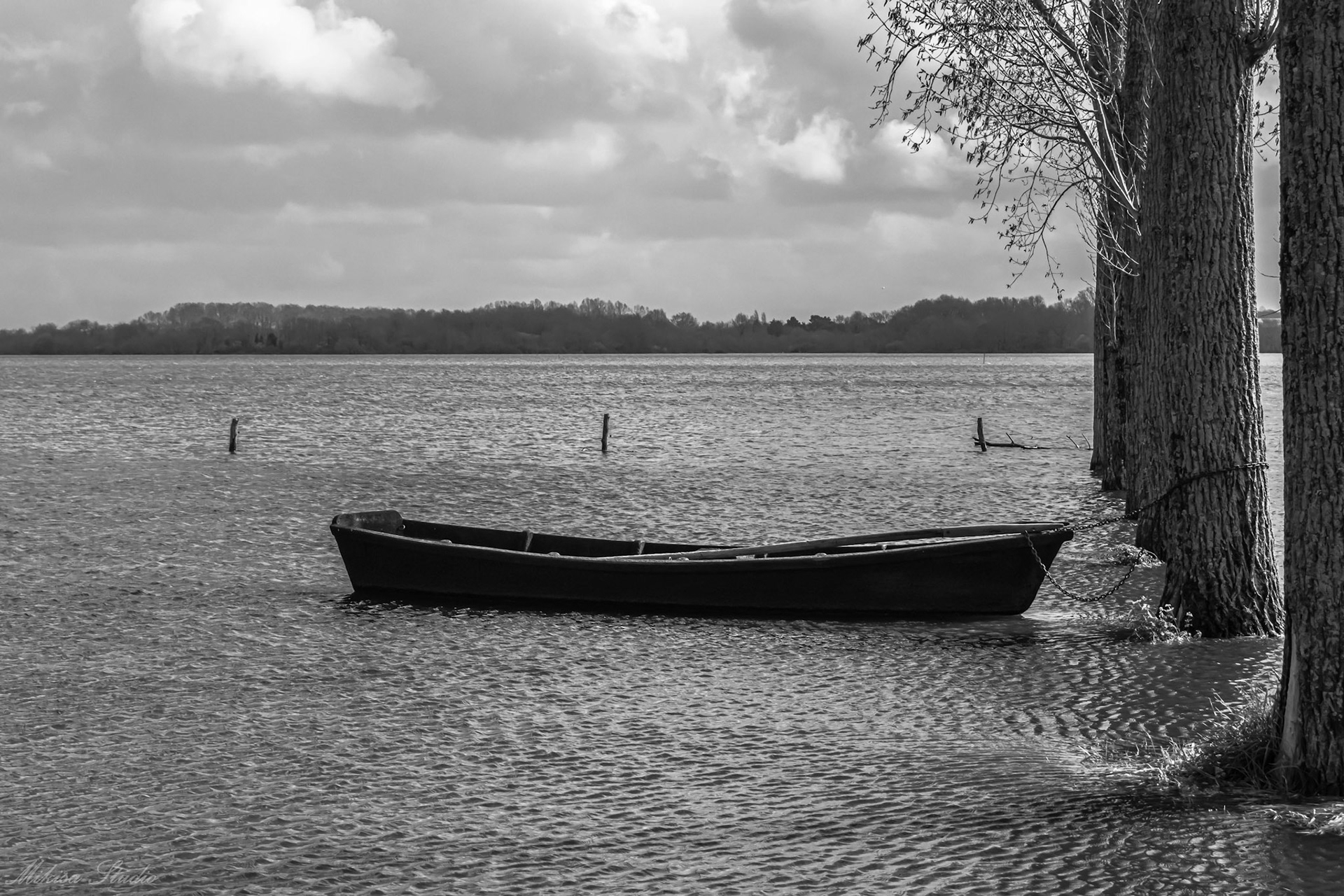 Petit port de pêche de Sainte Lumine, petite barque de pêcheur, Lac de Grand Lieu, photo 22