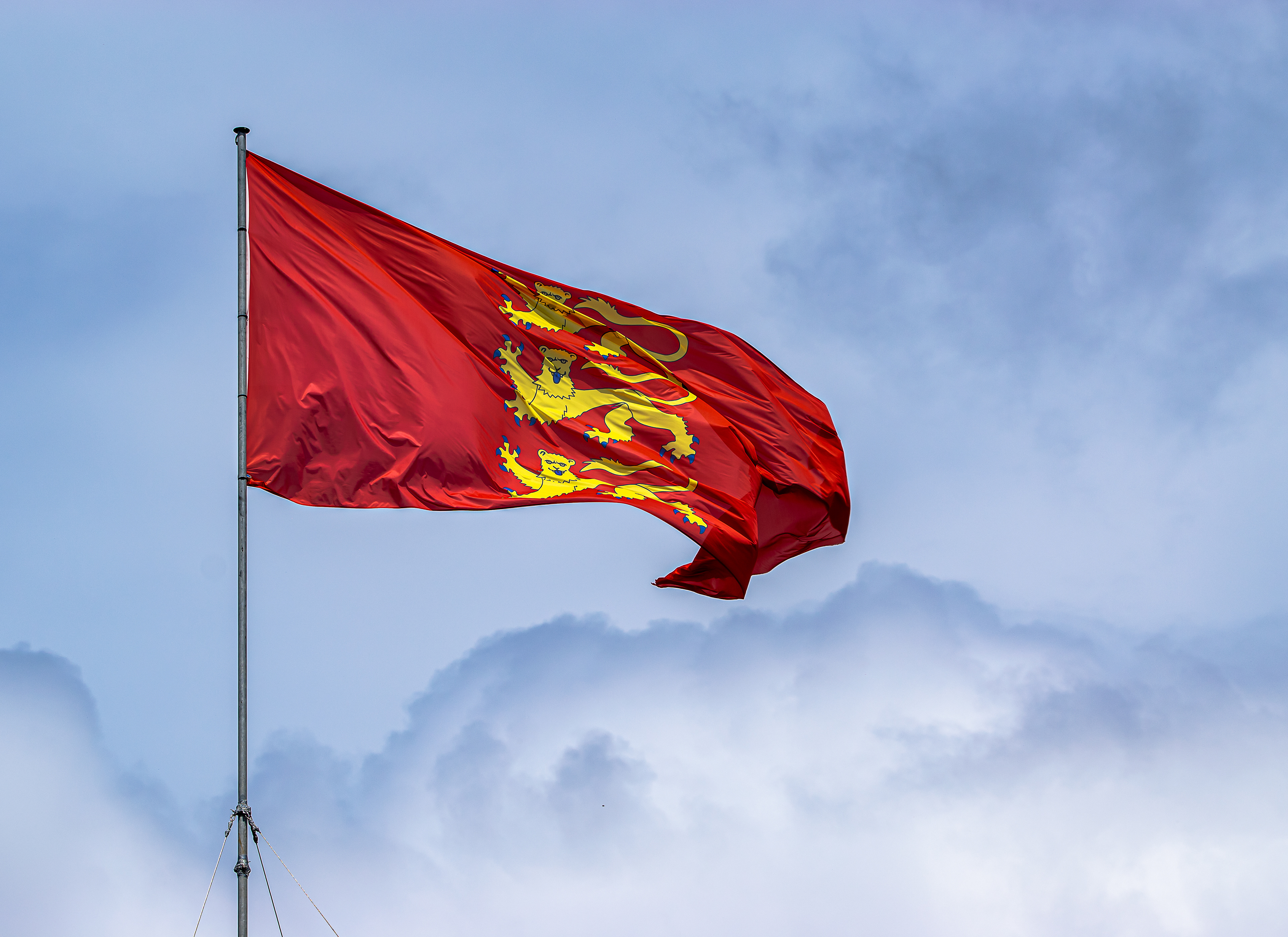 Drapeau de Richard Cœur de Lion au vent au Château de Talmont, Vendée France, photo 90