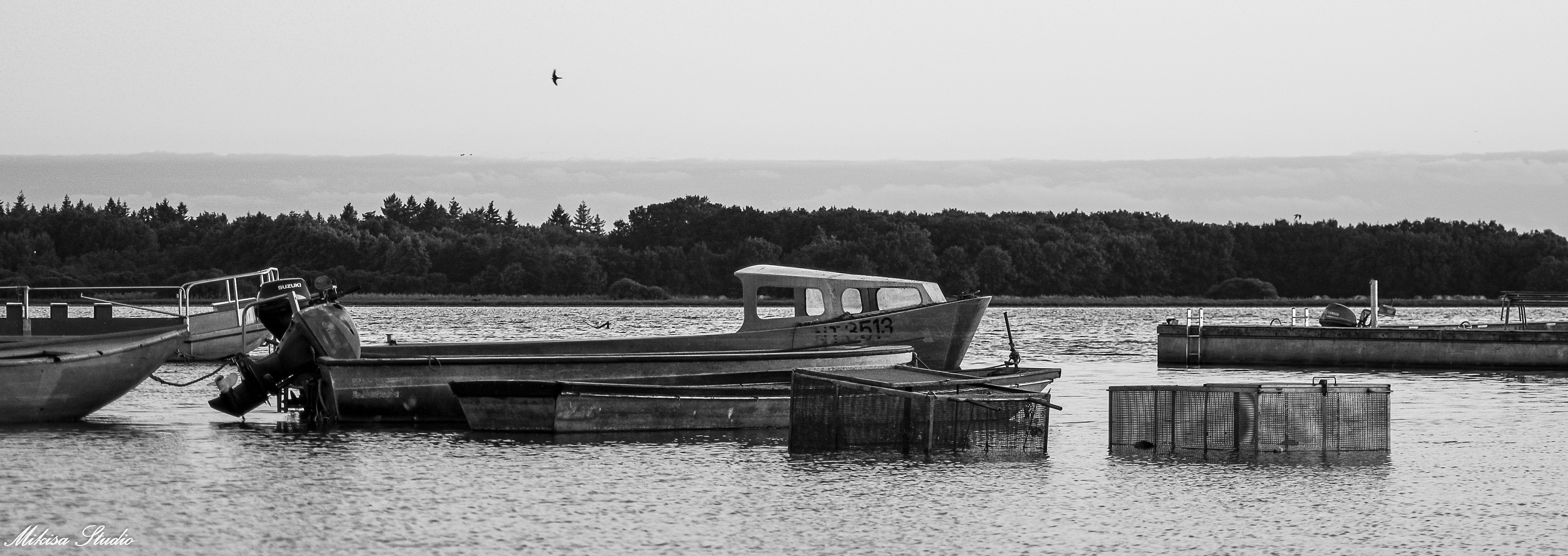 Barques de pêcheurs sur le Lac de Grand Lieu, port de Passay, Loire-Atlantique, photo noir et blanc 60
