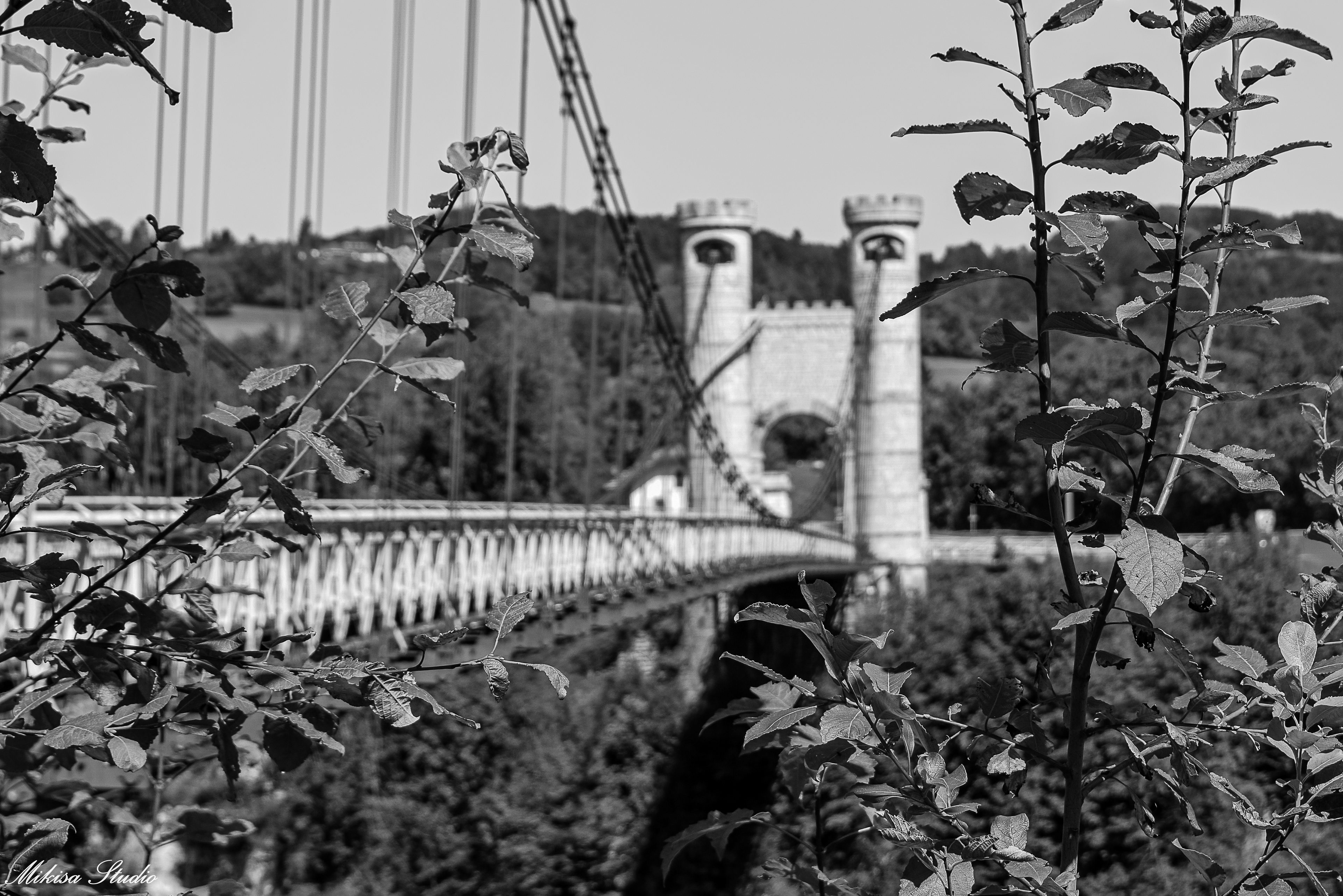 Pont Charles-Albert, couramment appelé pont de la Caille, sinauguré en 1839, Haute-Savoie en région Auvergne-Rhône-Alpe, photo noir et blanc 133