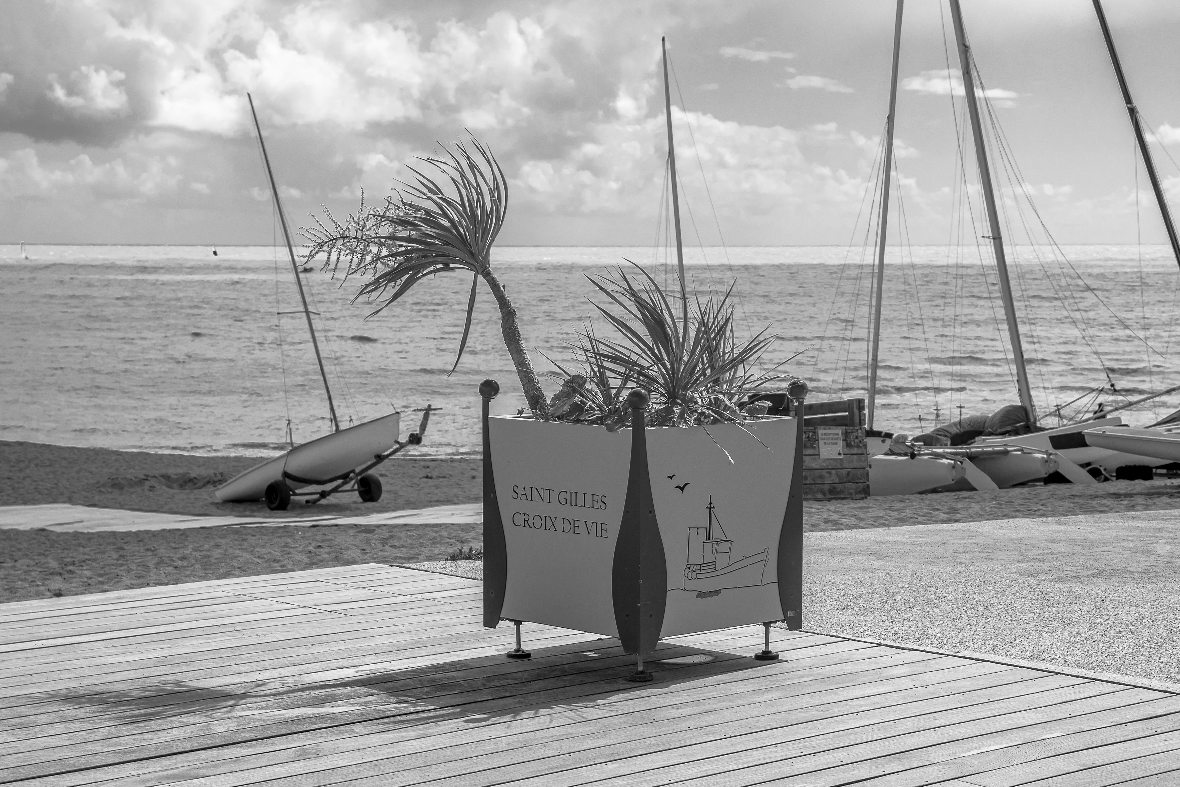 Remblai de Boisvinet, Saint Gilles Croix de Vie,Vendée France, photo noir et blanc 32