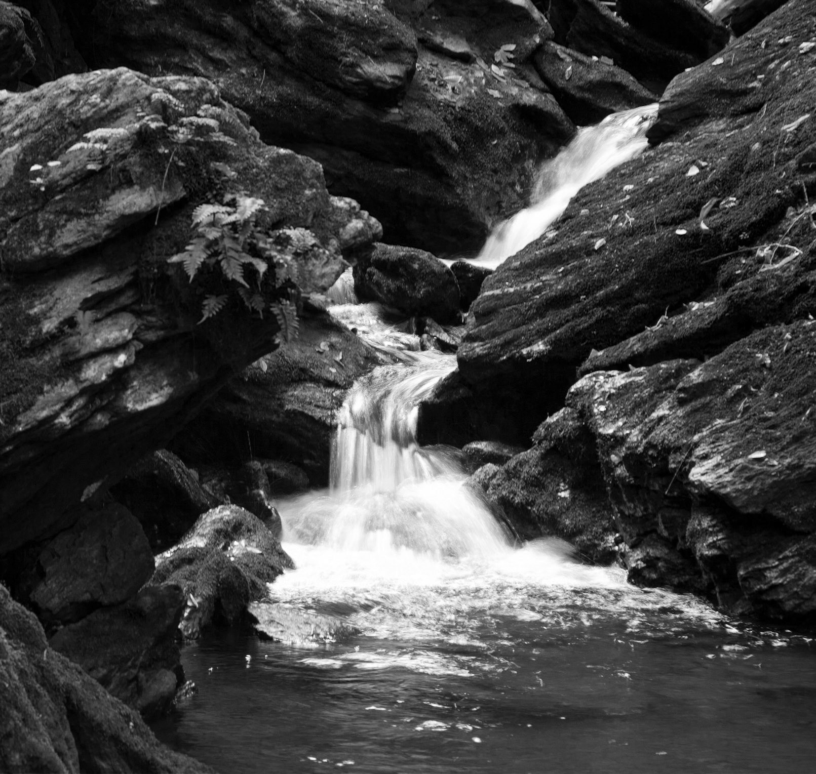 Sneaking Out of the Hills