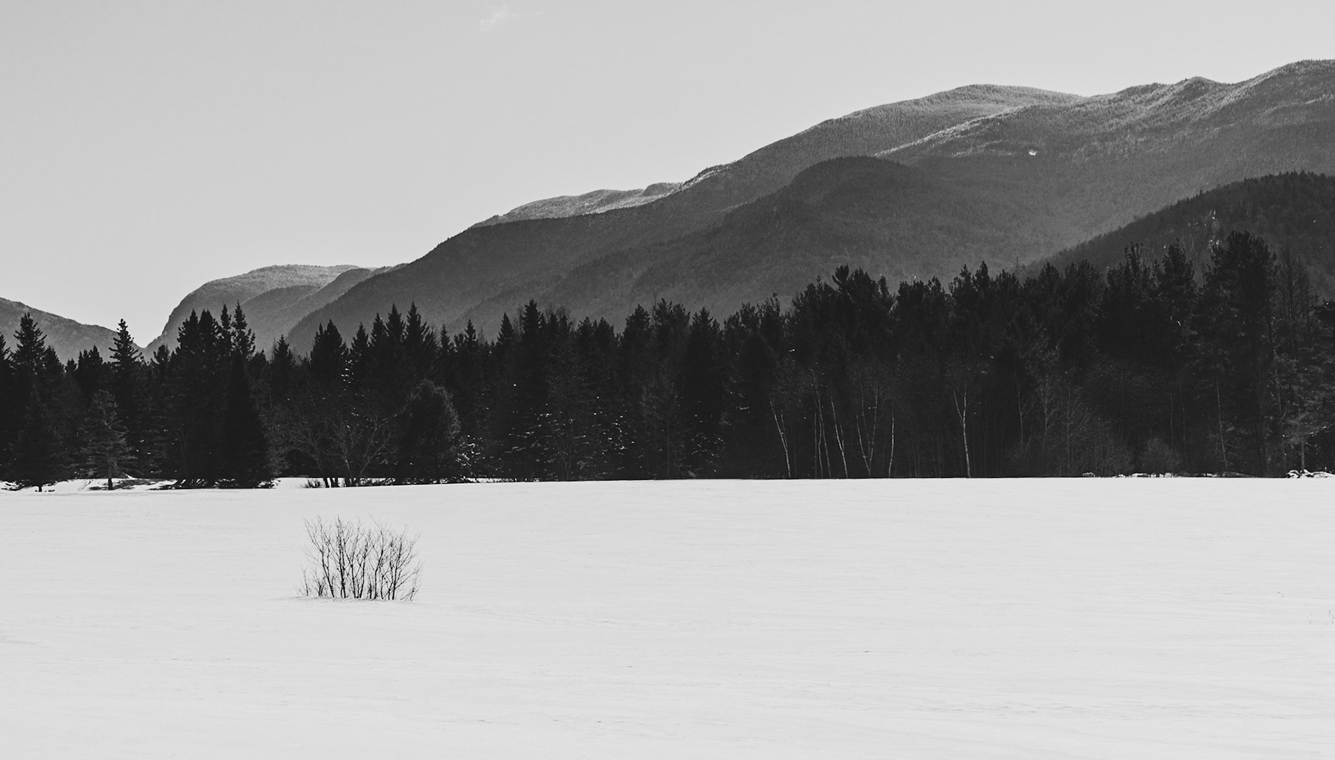 McIntyre Mountain Range, ADK