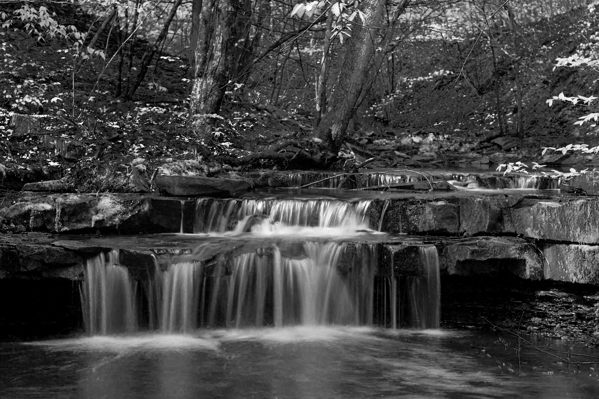 Low Cascade in Wolf Creek