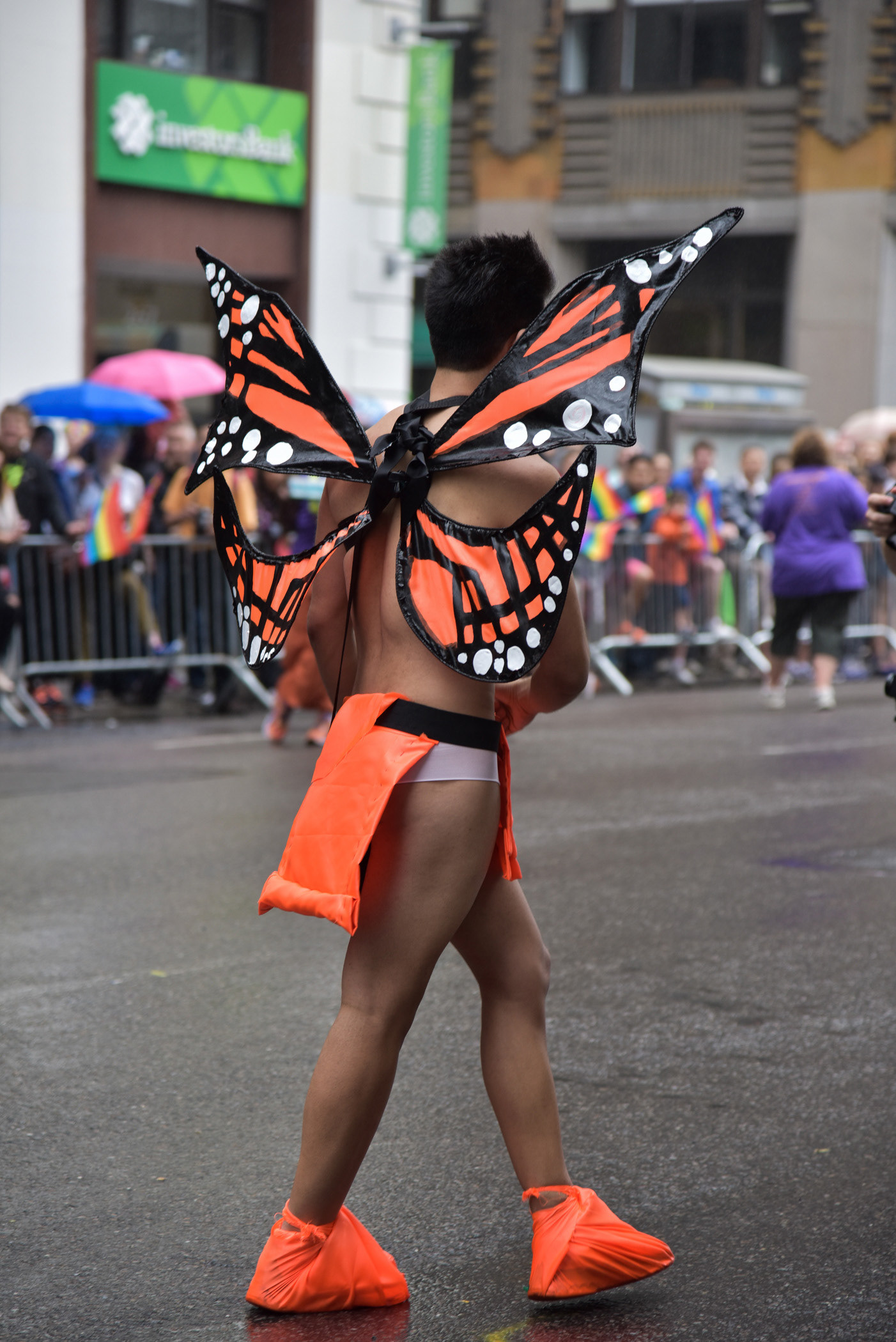 Orange Butterfly