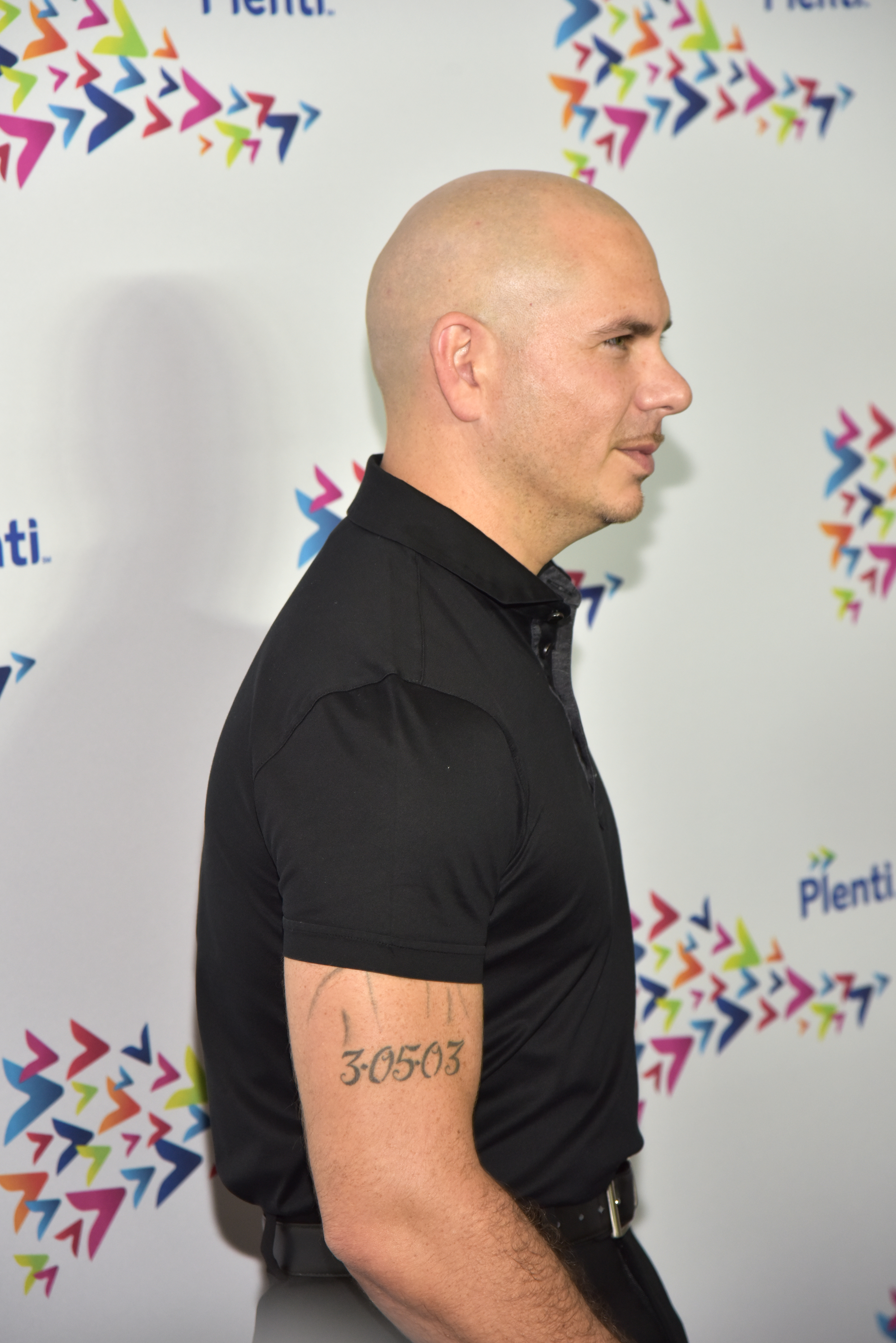 Pitbull