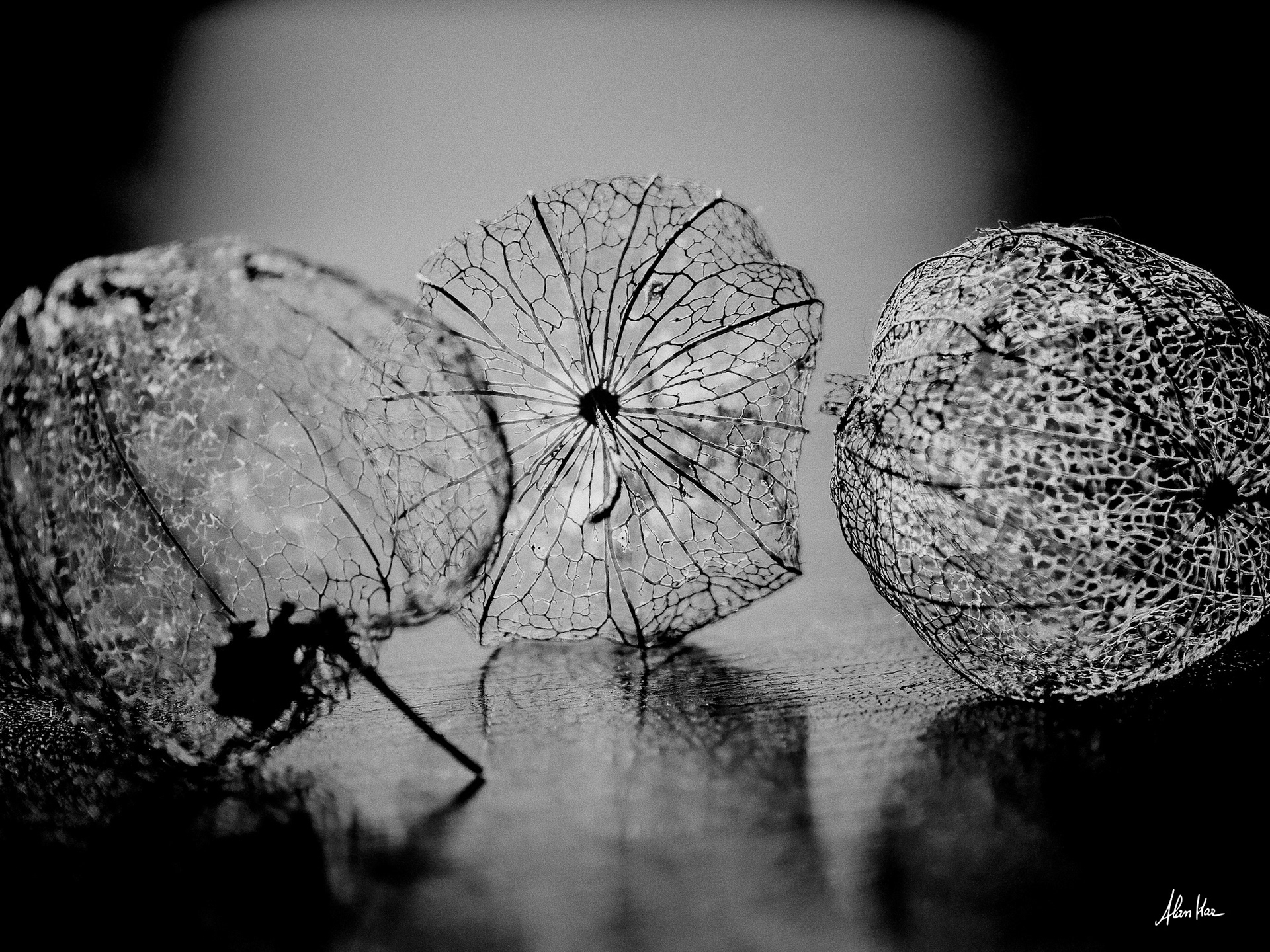 Lanterne chinoise NB