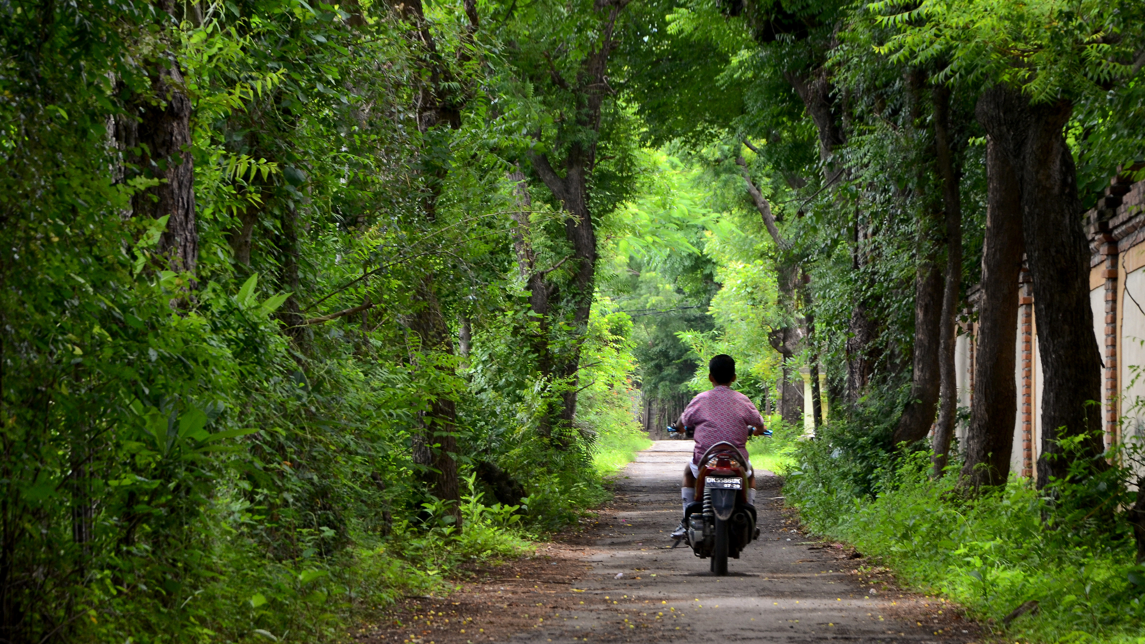 Bali, Indonesia, 2018