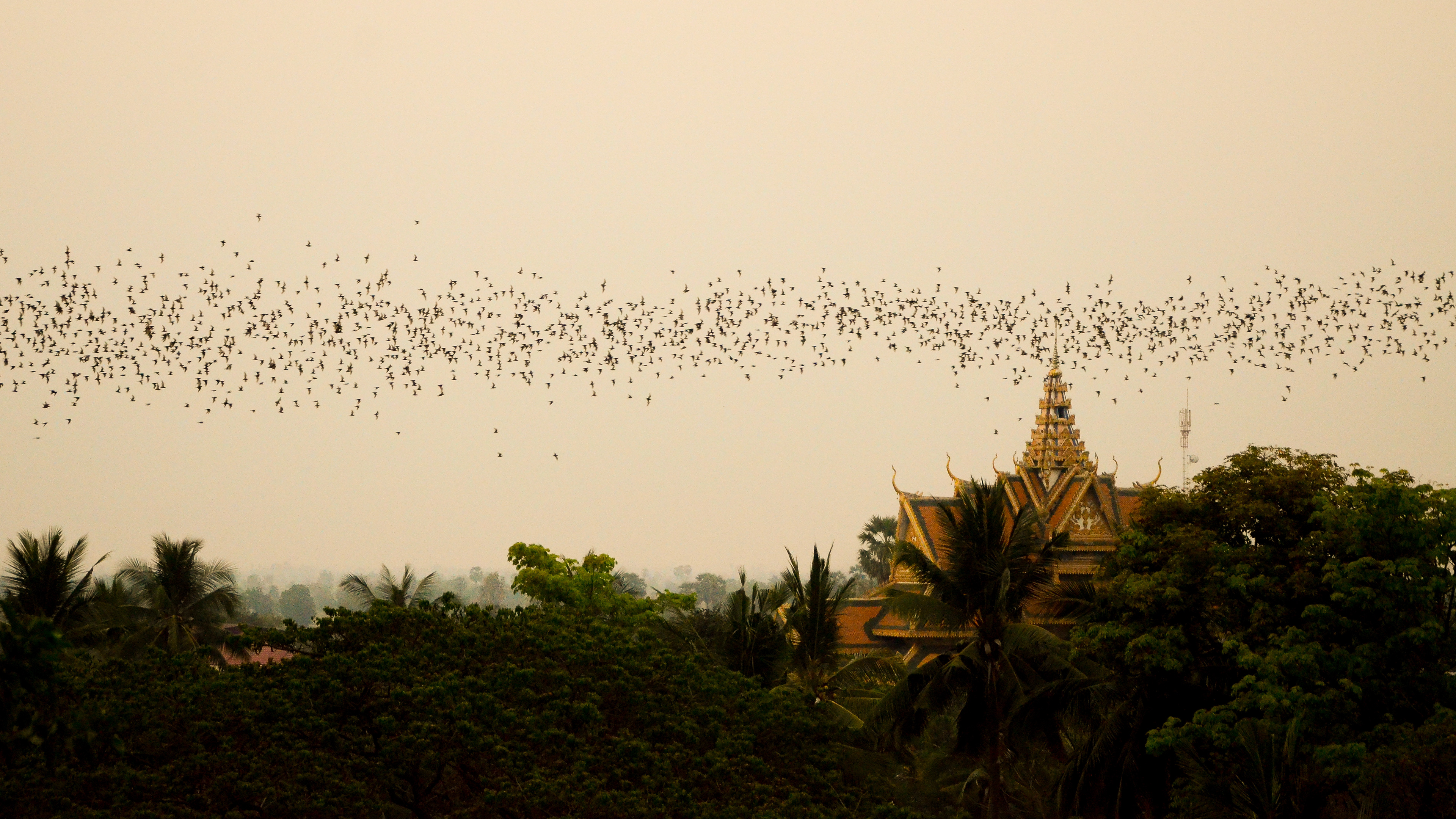 Battambang, Cambodia, 2014