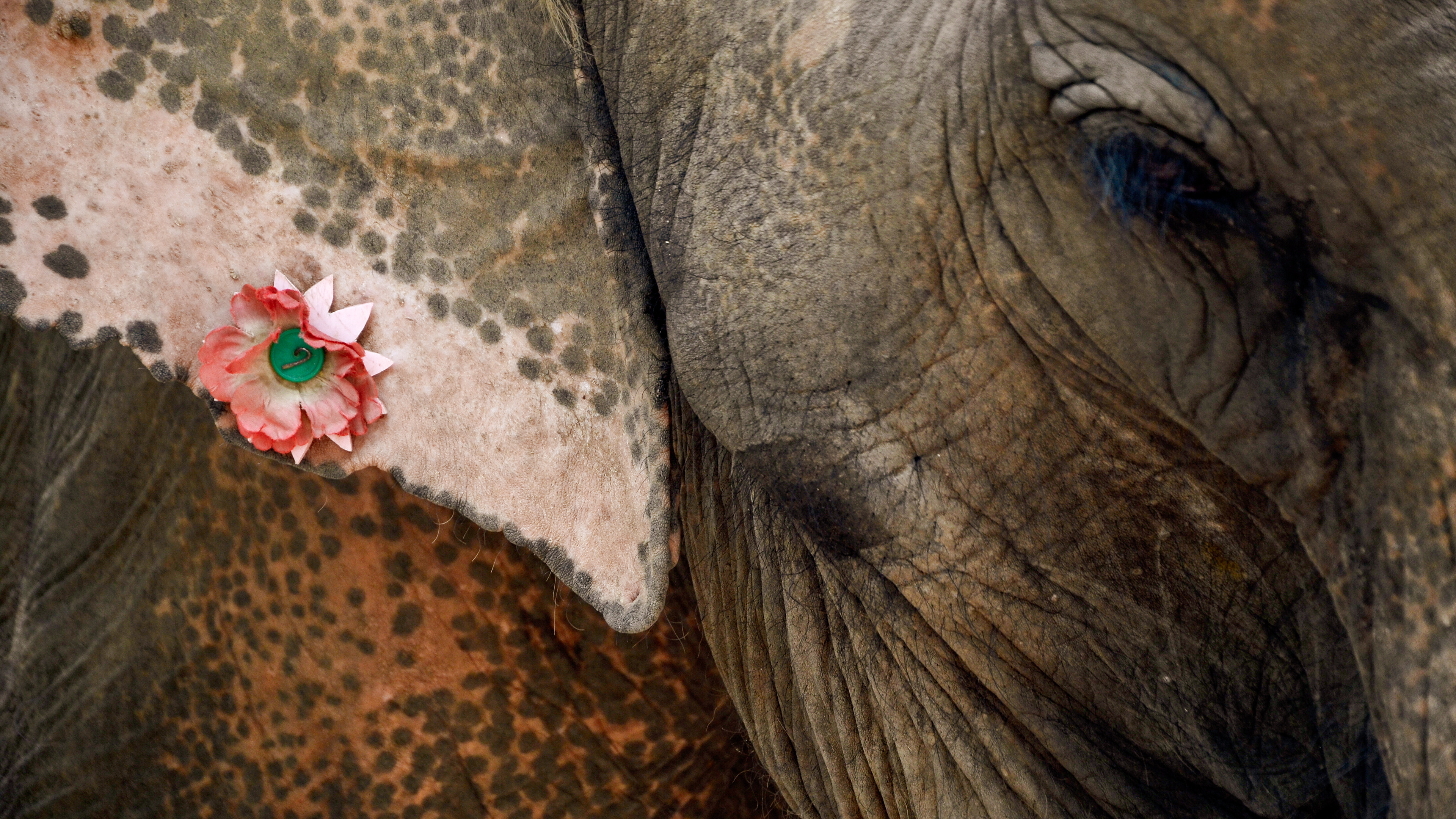 Chiang Mai, Thailand, 2014