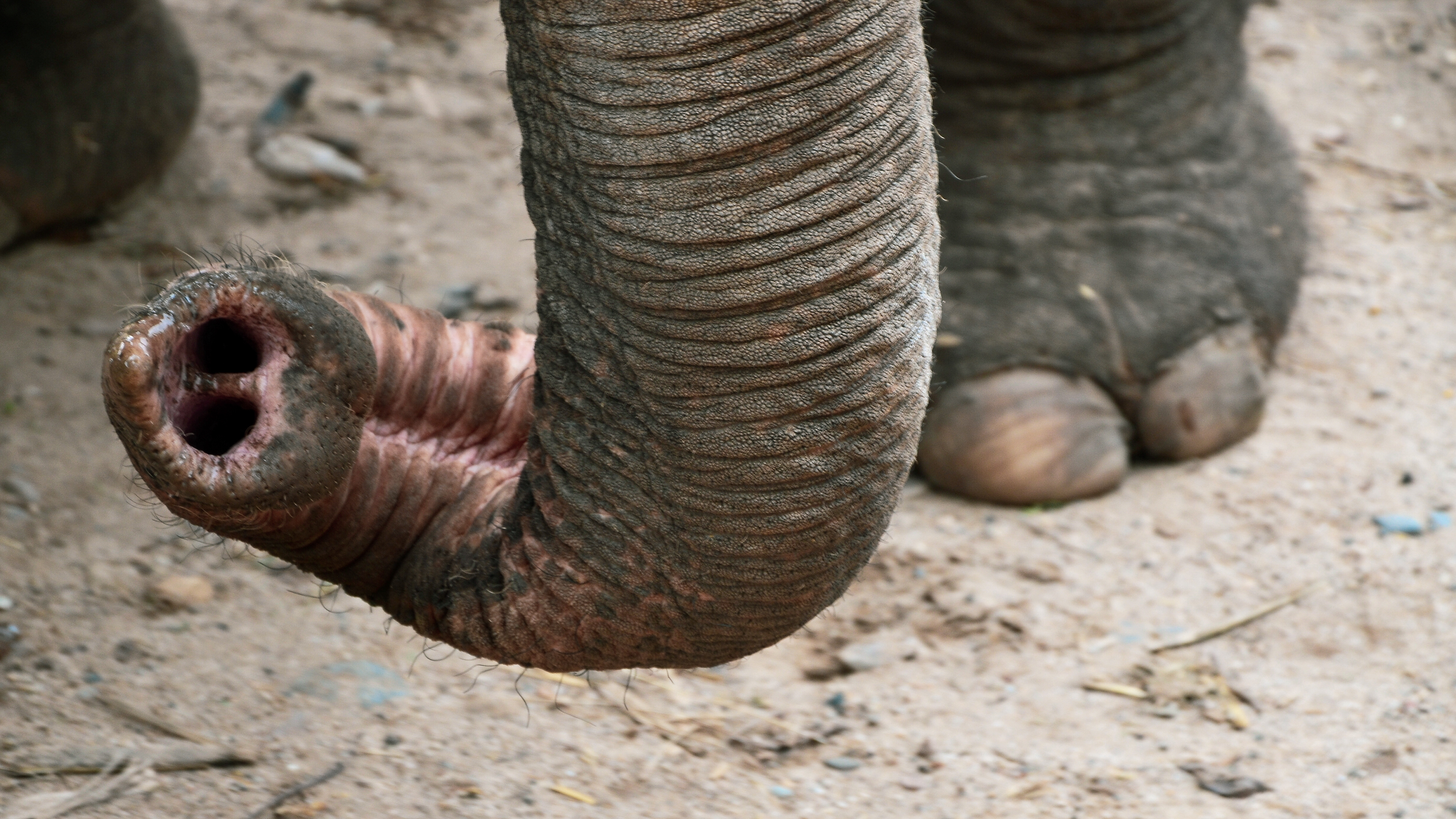 Chiang Mai, Thailand, 2014