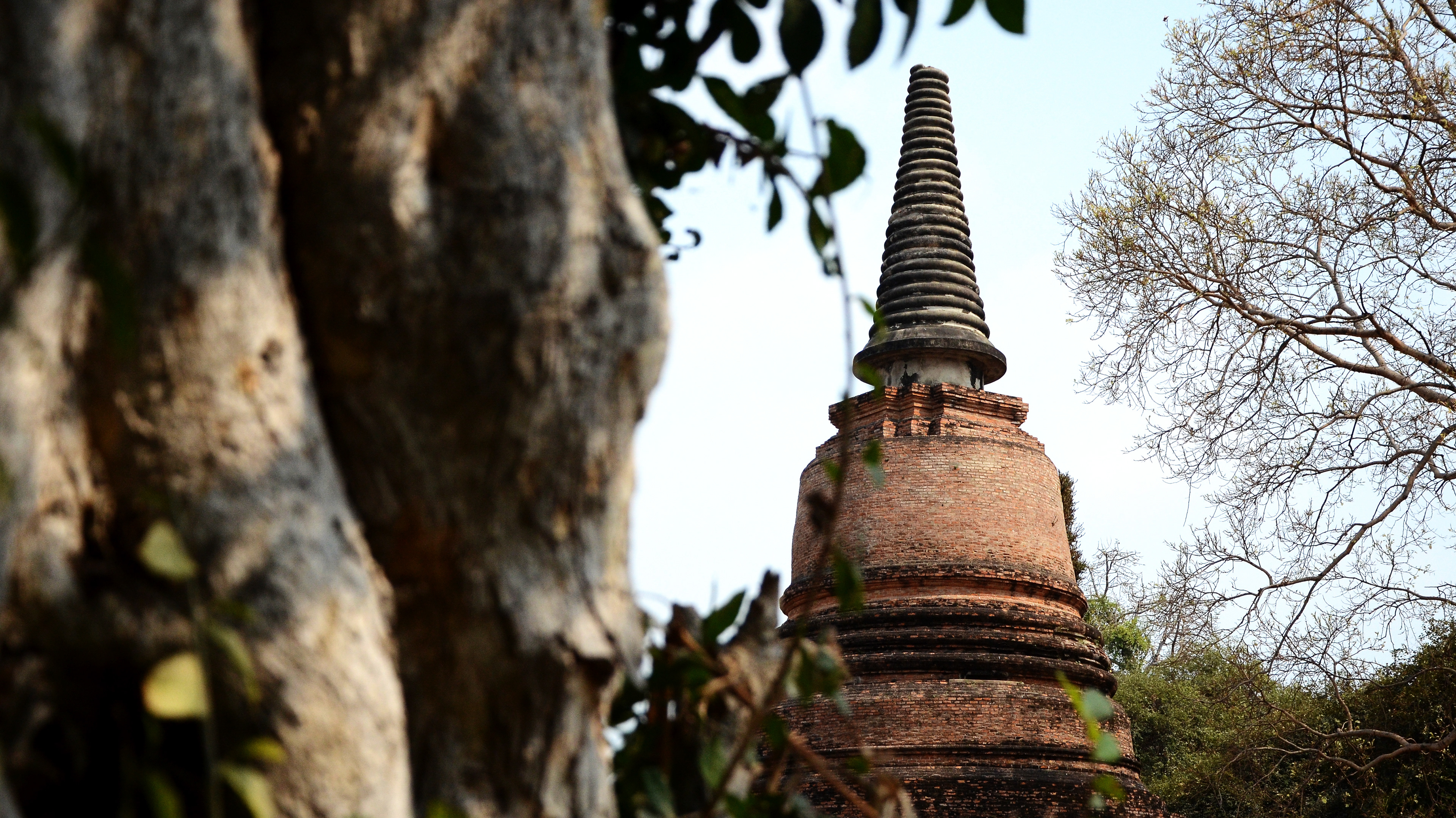 Ayutthaya, Thailand, 2014