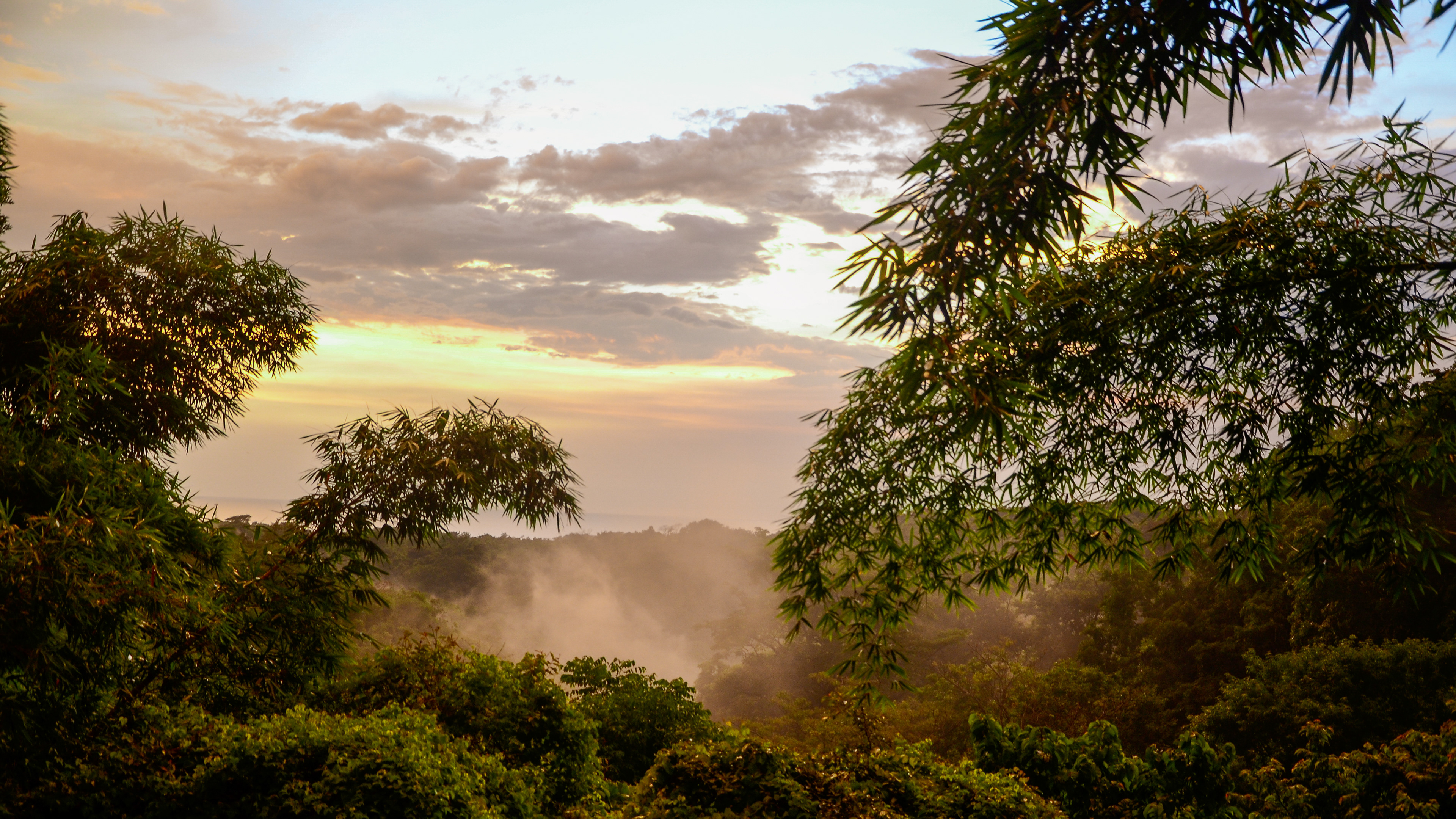 Nosara, Costa Rica, 2017