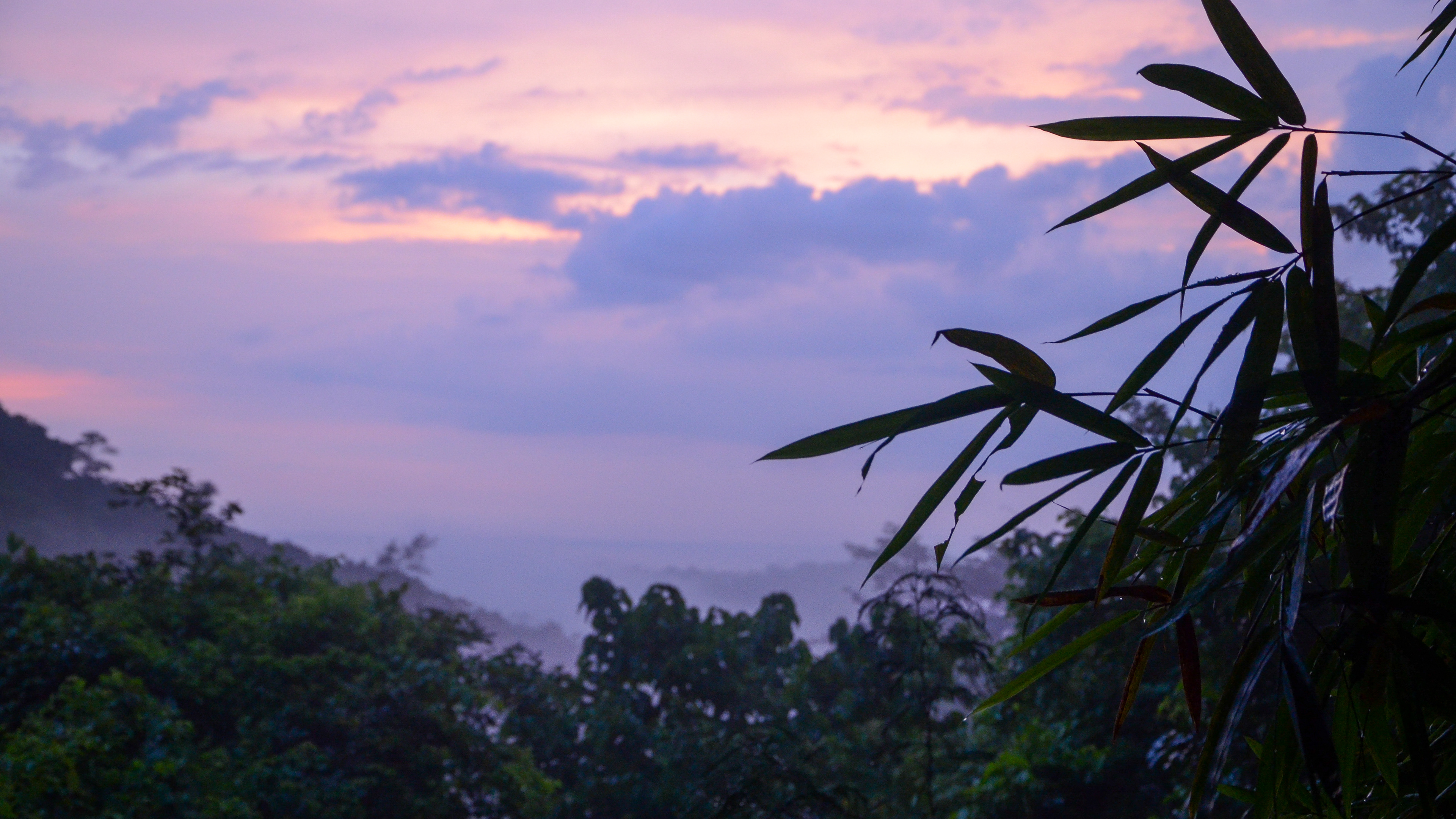 Nosara, Costa Rica, 2017