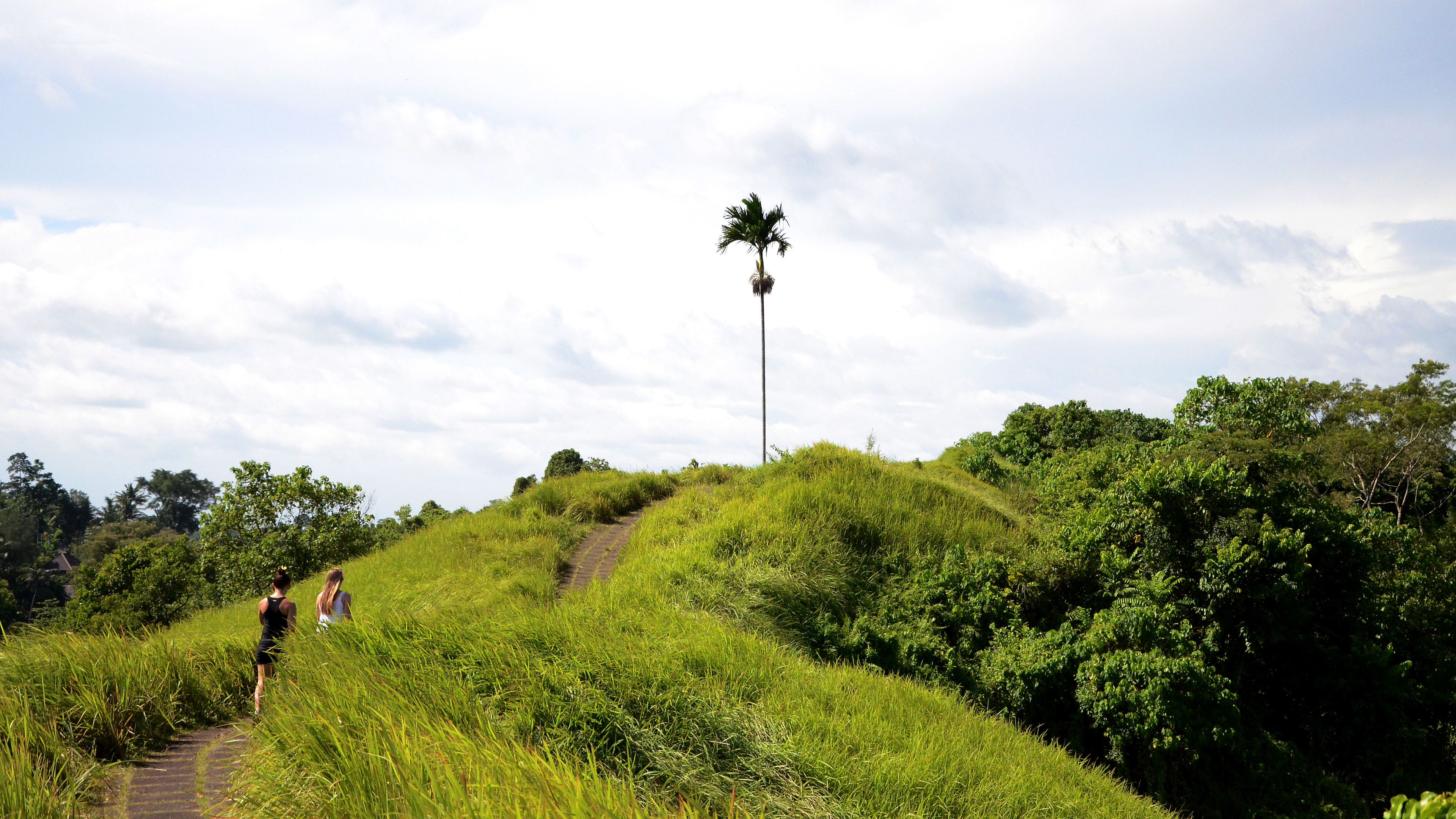 Bali, Indonesia, 2014