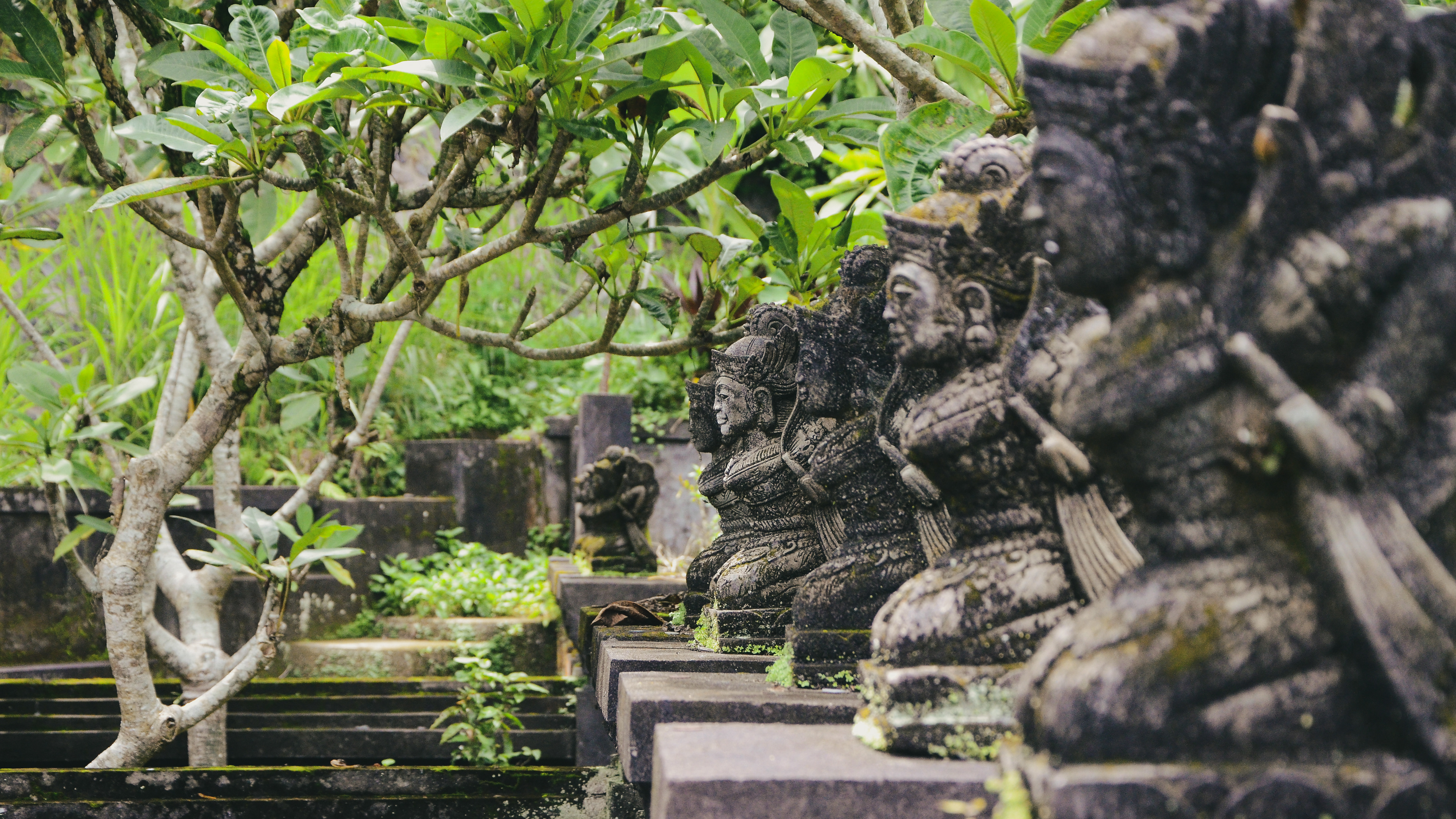 Bali, Indonesia, 2014