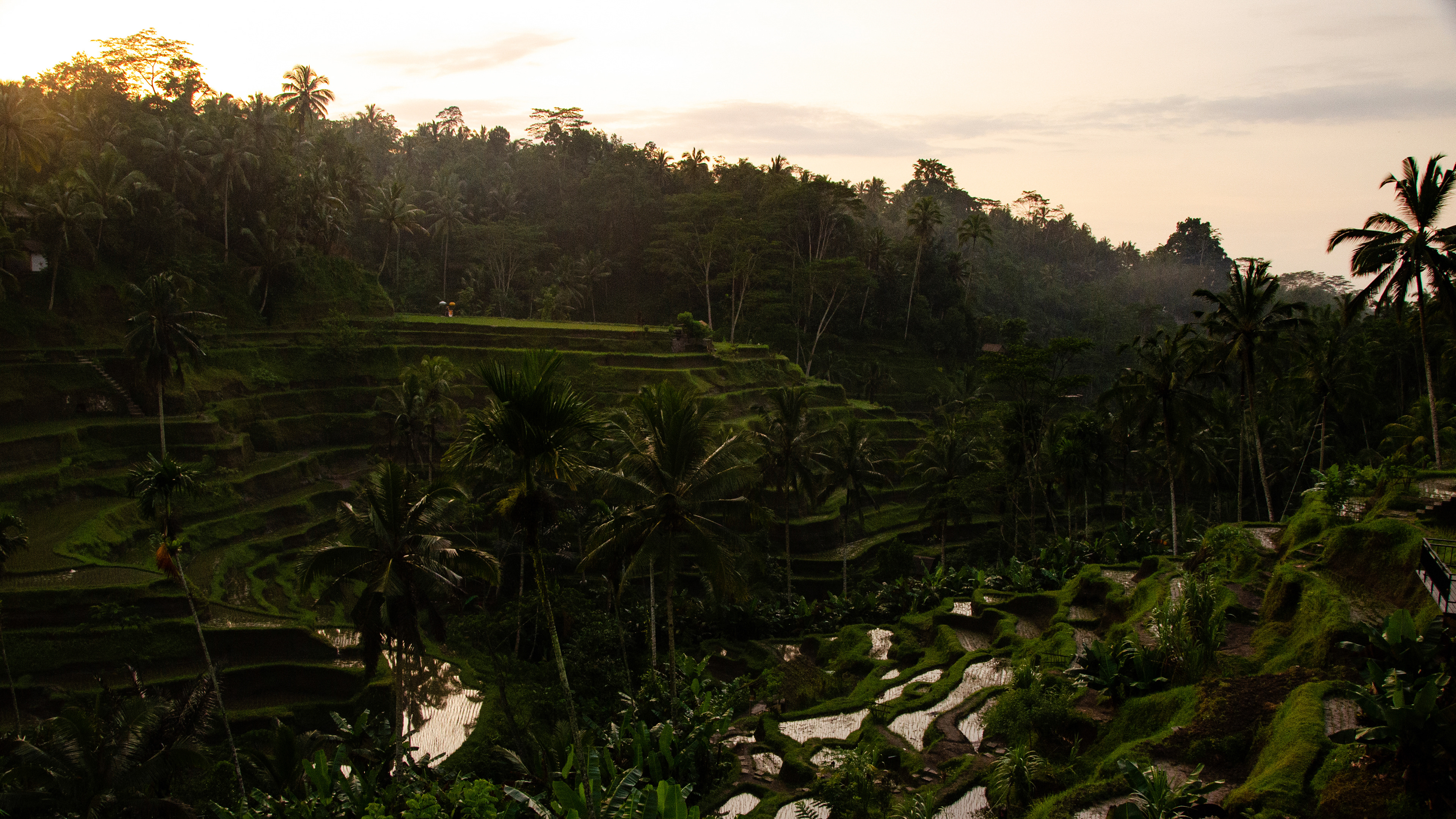 Bali, Indonesia, 2018