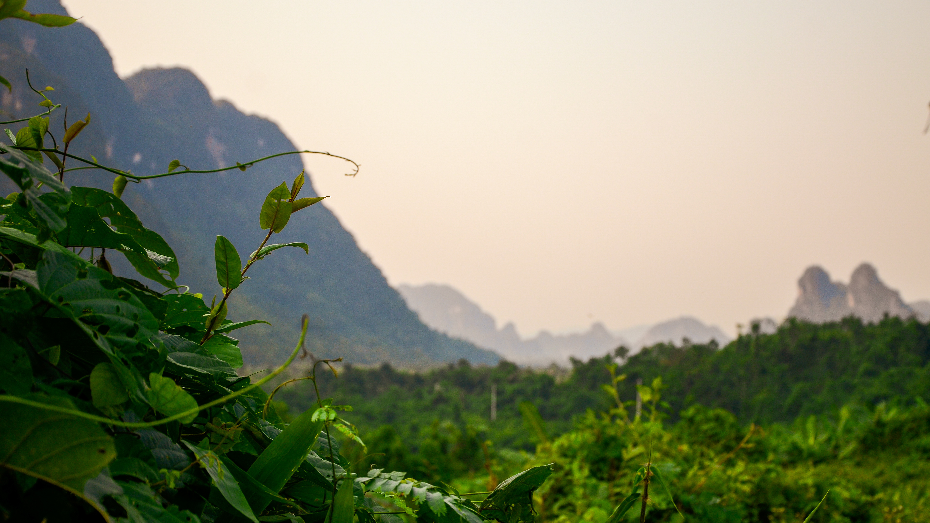 Phong Na, Vietnam, 2014