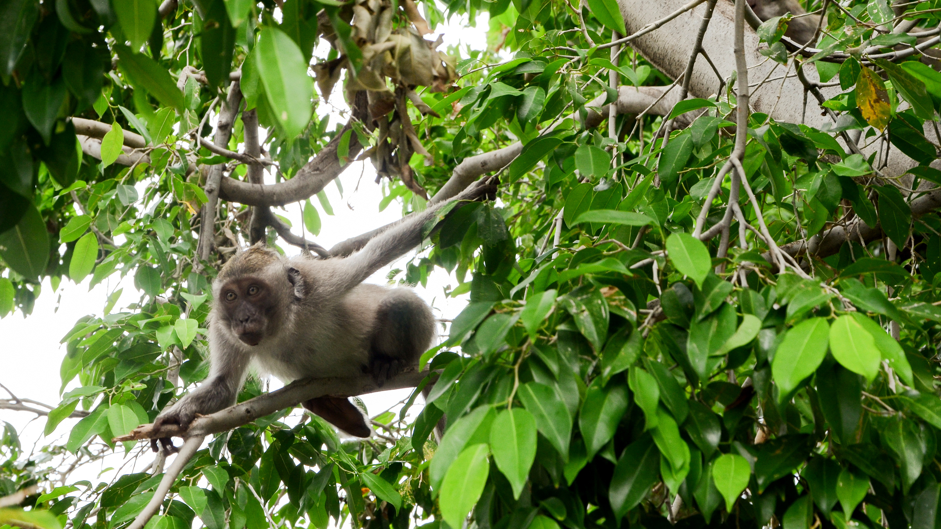 Bali, Indonesia, 2018