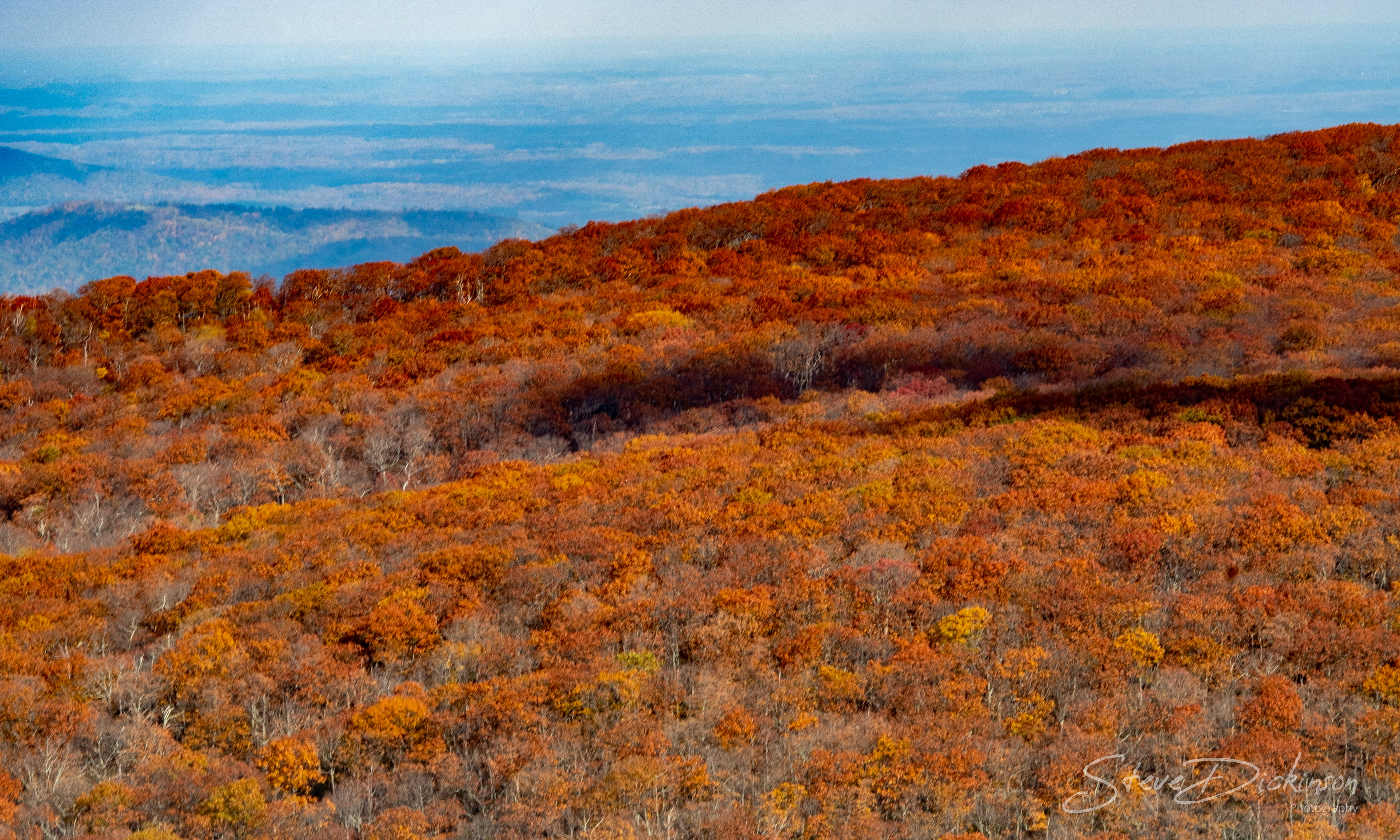 Skyline Drive