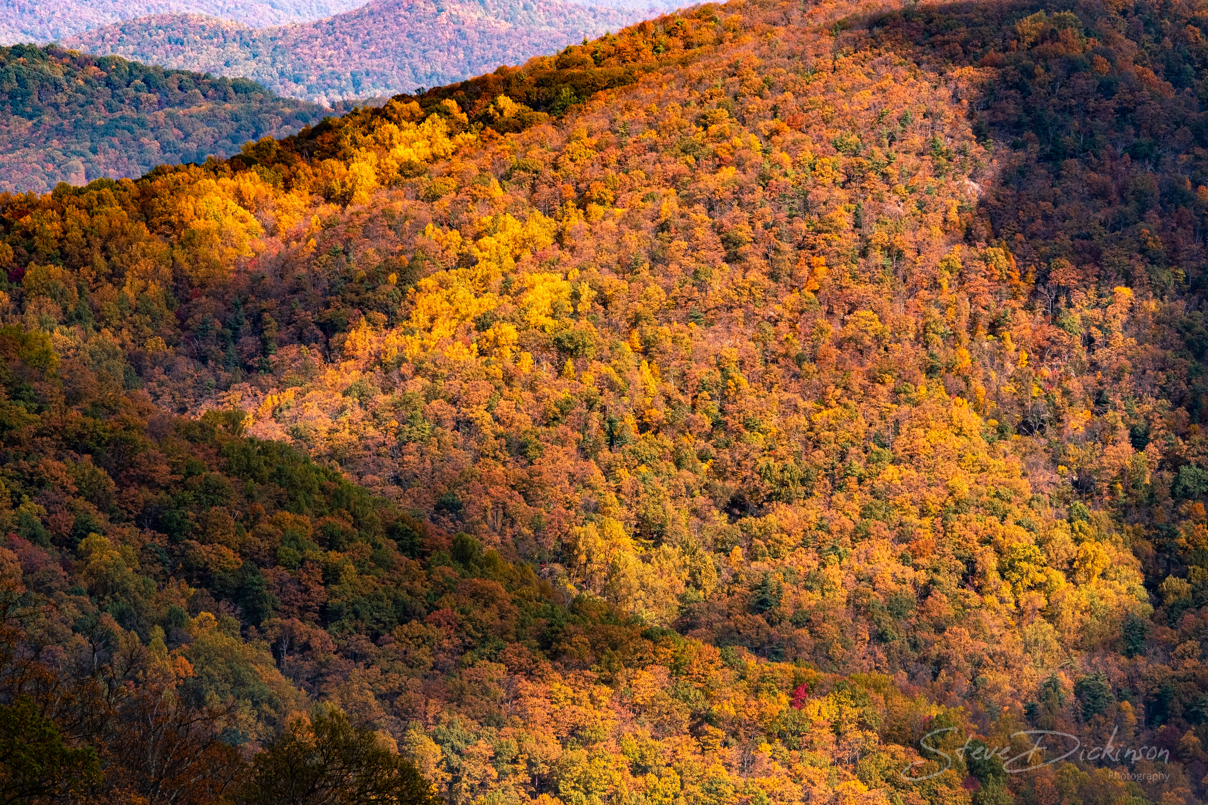 Skyline Drive